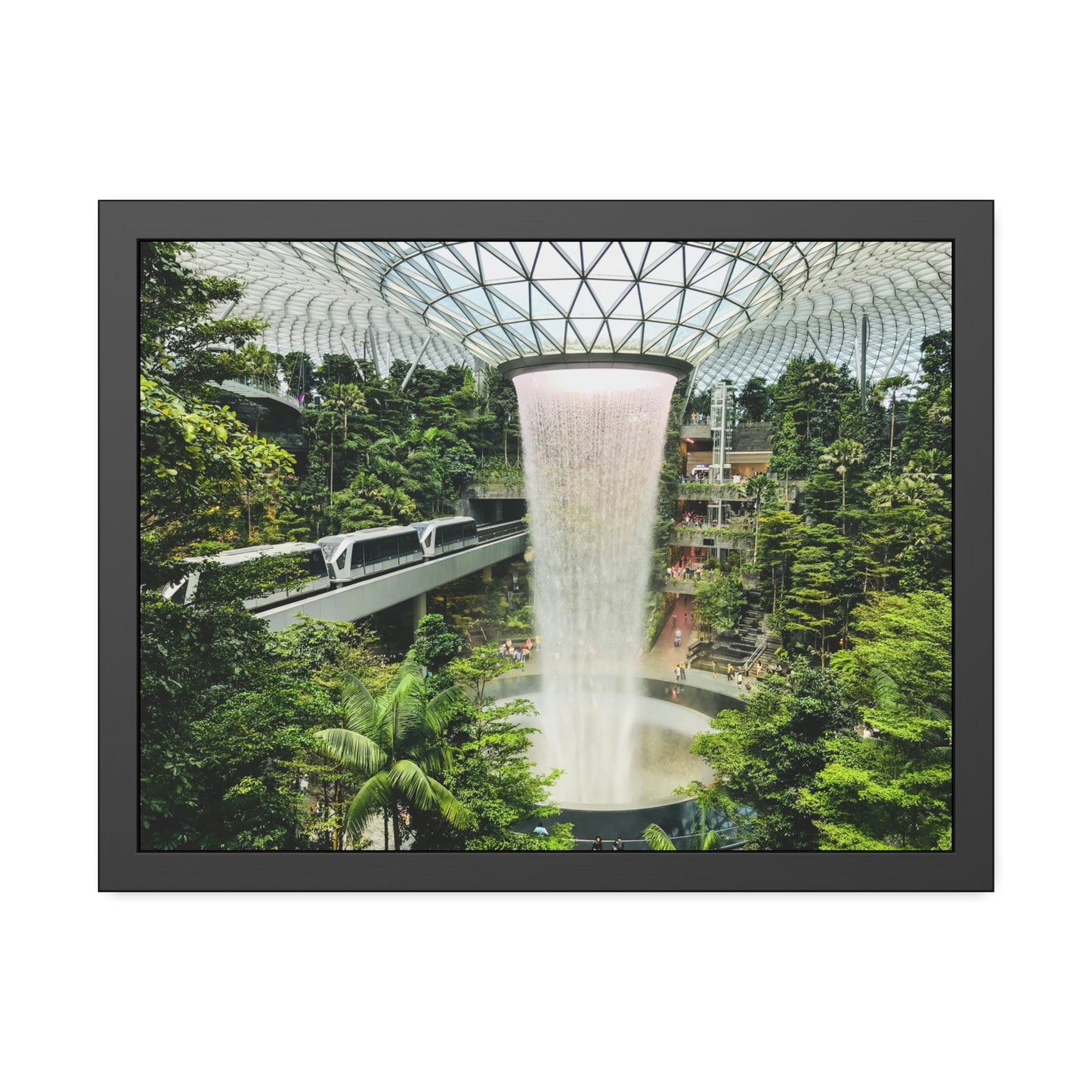 Framed Paper Poster - SG Series (Jewel Changi Airport)