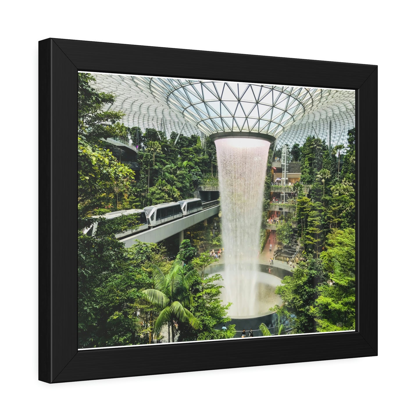 Framed Paper Poster - SG Series (Jewel Changi Airport)