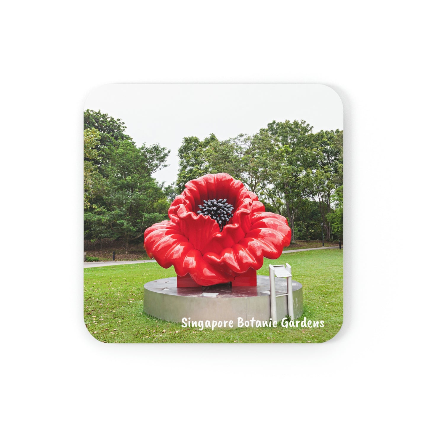 Corkwood Coaster Set (4) - SG Series (Singapore Botanic Gardens)