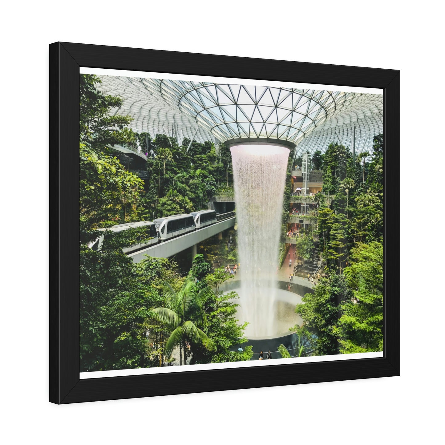 Framed Paper Poster - SG Series (Jewel Changi Airport)