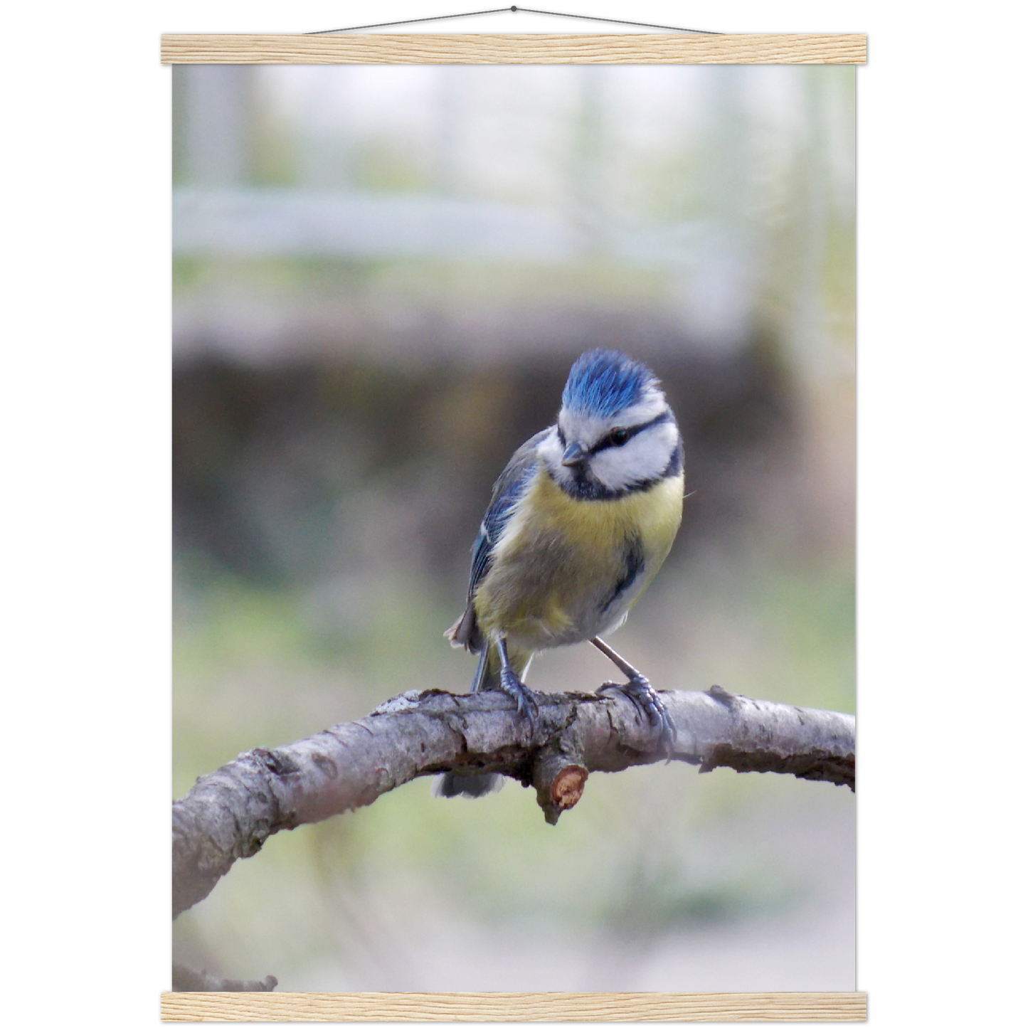 Classic Semi-Glossy Paper Poster with Hanger - Relaxation Series Poster 018