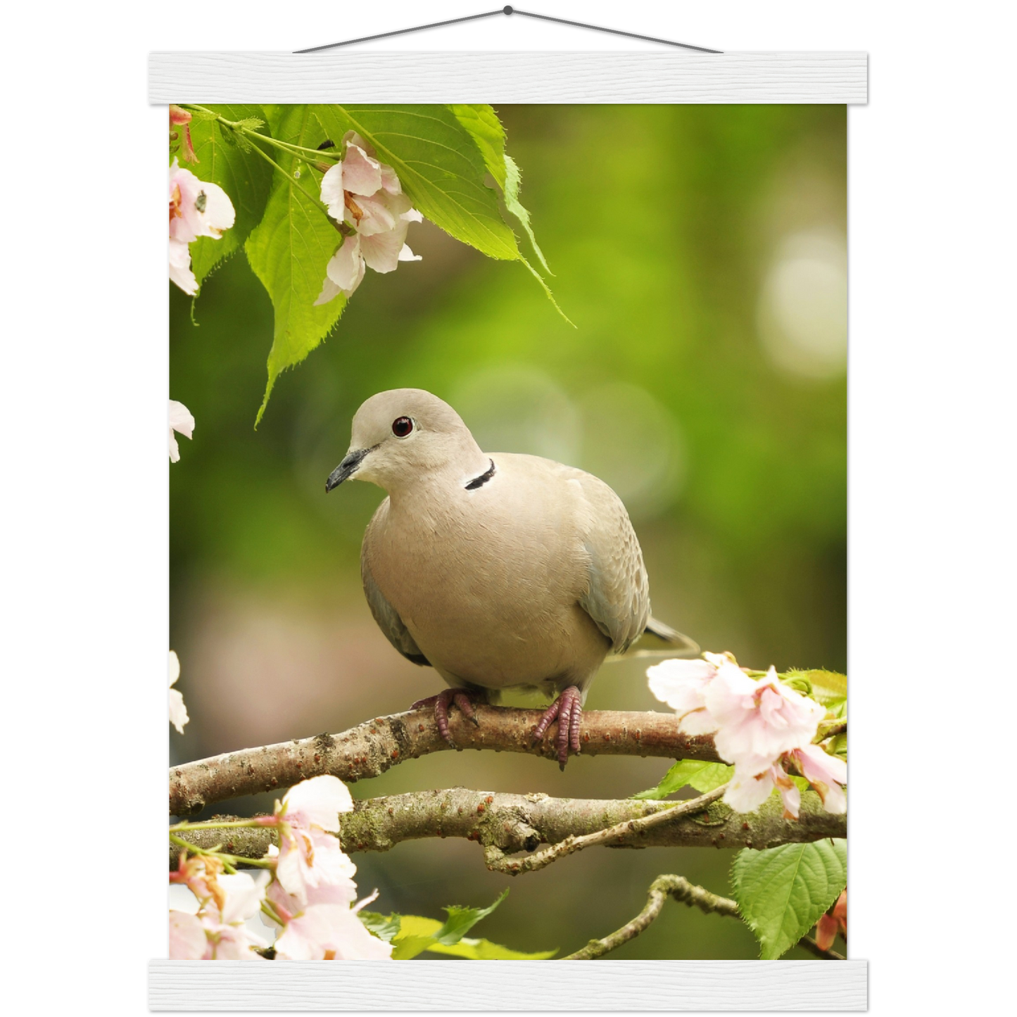 Classic Semi-Glossy Paper Poster with Hanger - Relaxation Series Poster 013