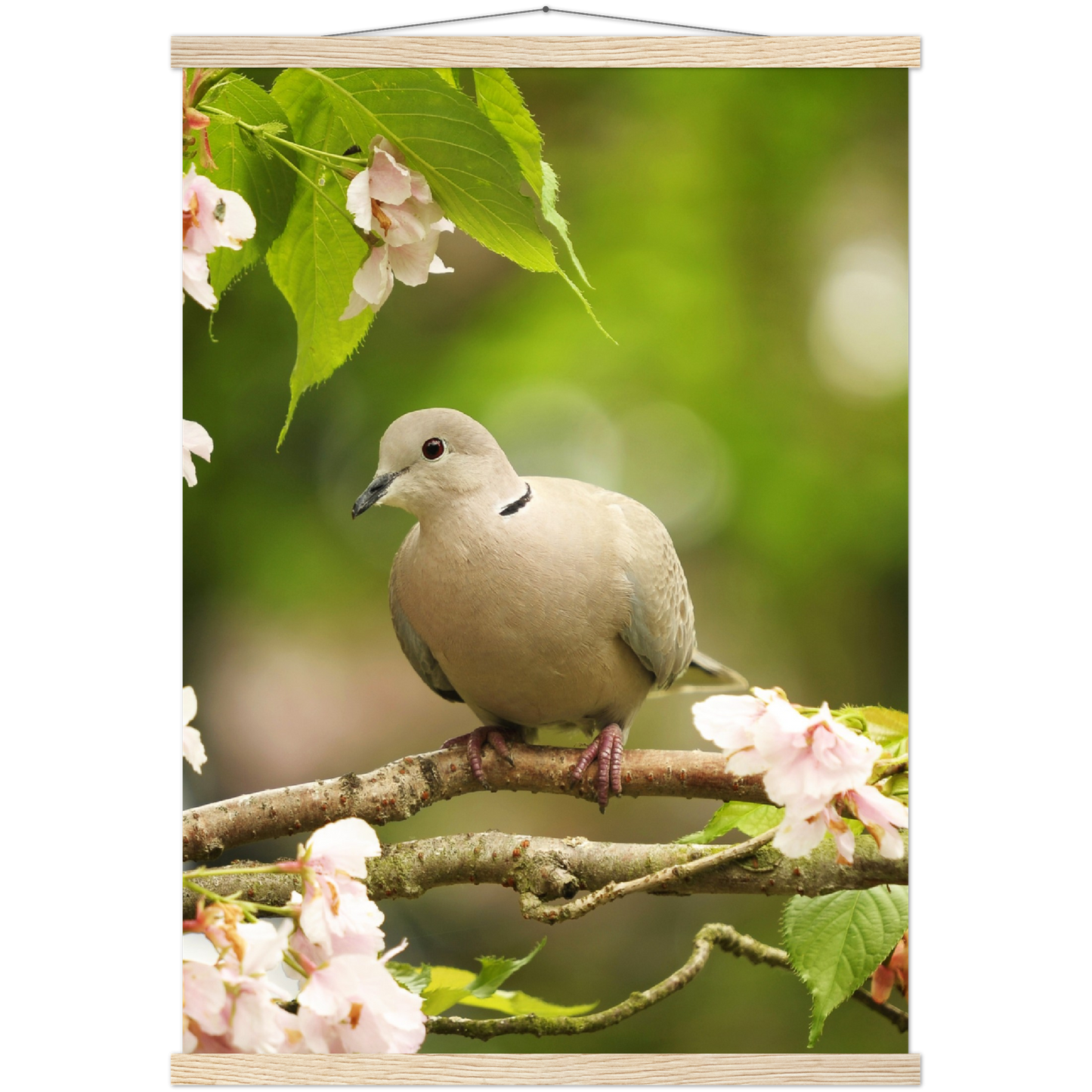 Classic Semi-Glossy Paper Poster with Hanger - Relaxation Series Poster 013