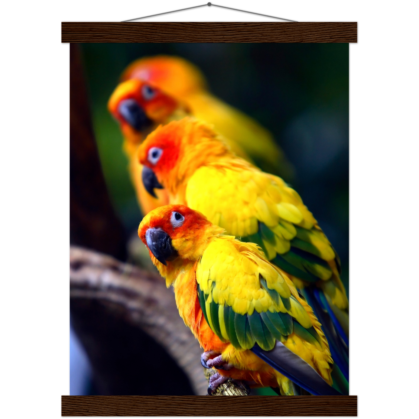 Classic Semi-Glossy Paper Poster with Hanger - Relaxation Series Poster 011