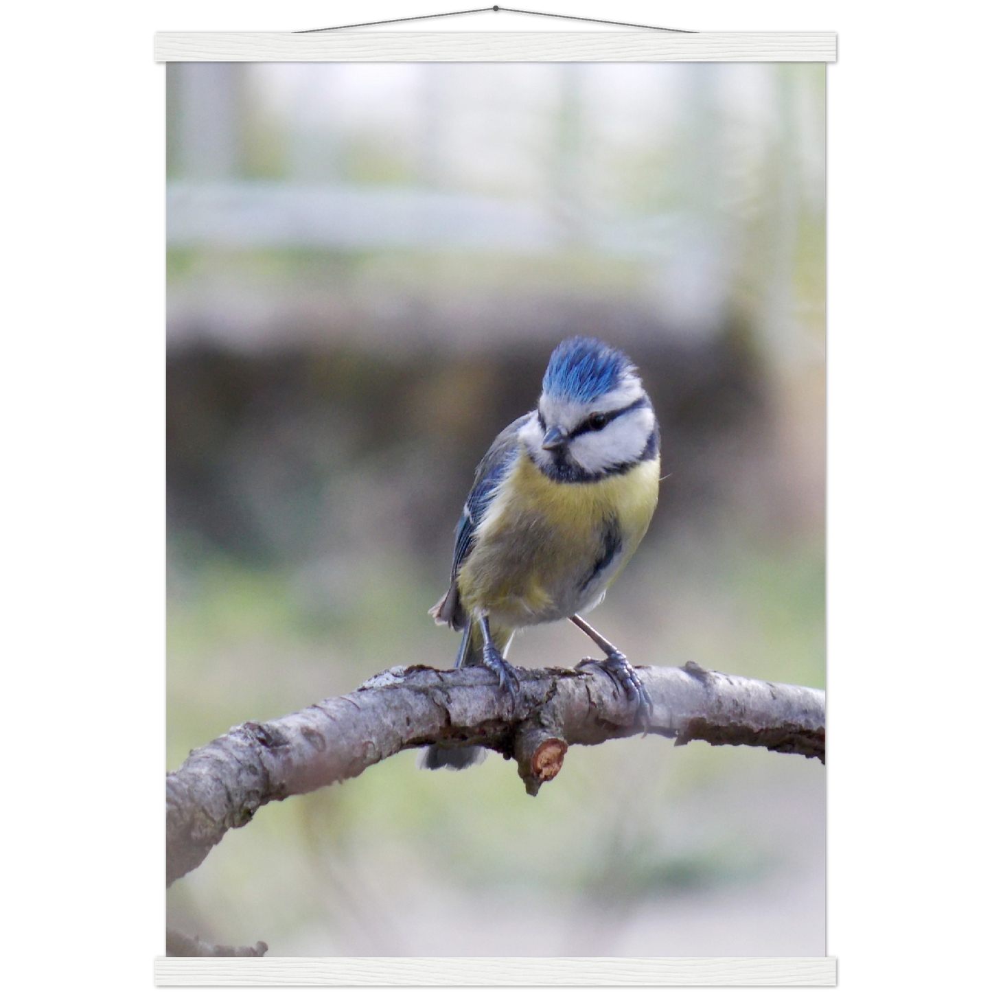 Classic Semi-Glossy Paper Poster with Hanger - Relaxation Series Poster 018