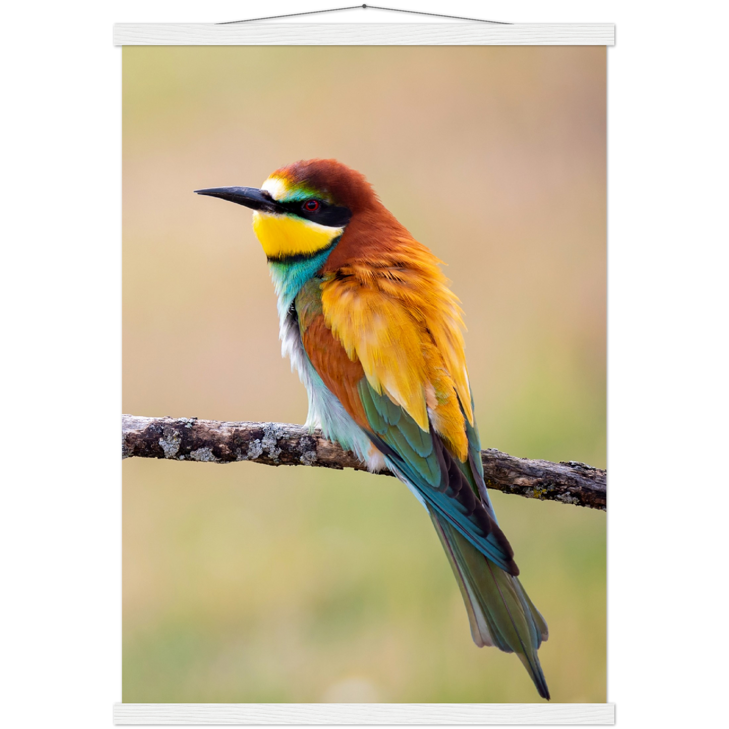 Classic Semi-Glossy Paper Poster with Hanger - Relaxation Series Poster 015