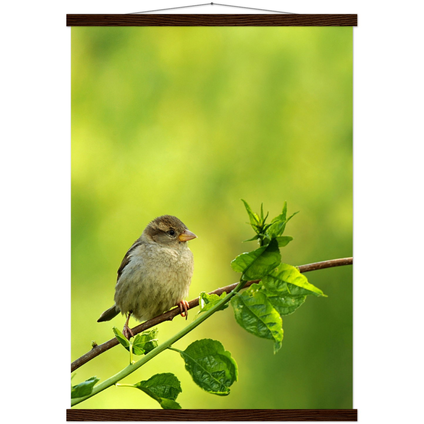 Classic Semi-Glossy Paper Poster with Hanger - Relaxation Series Poster 010