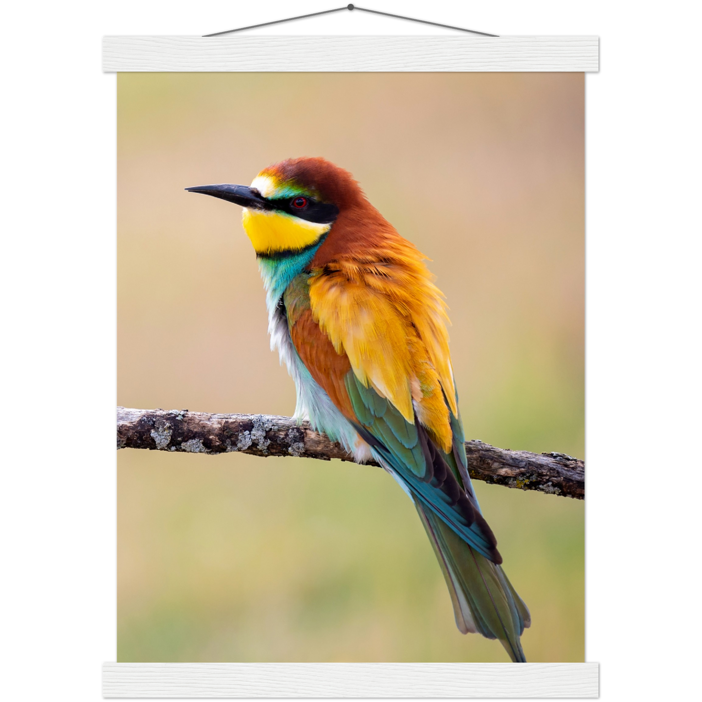 Classic Semi-Glossy Paper Poster with Hanger - Relaxation Series Poster 015