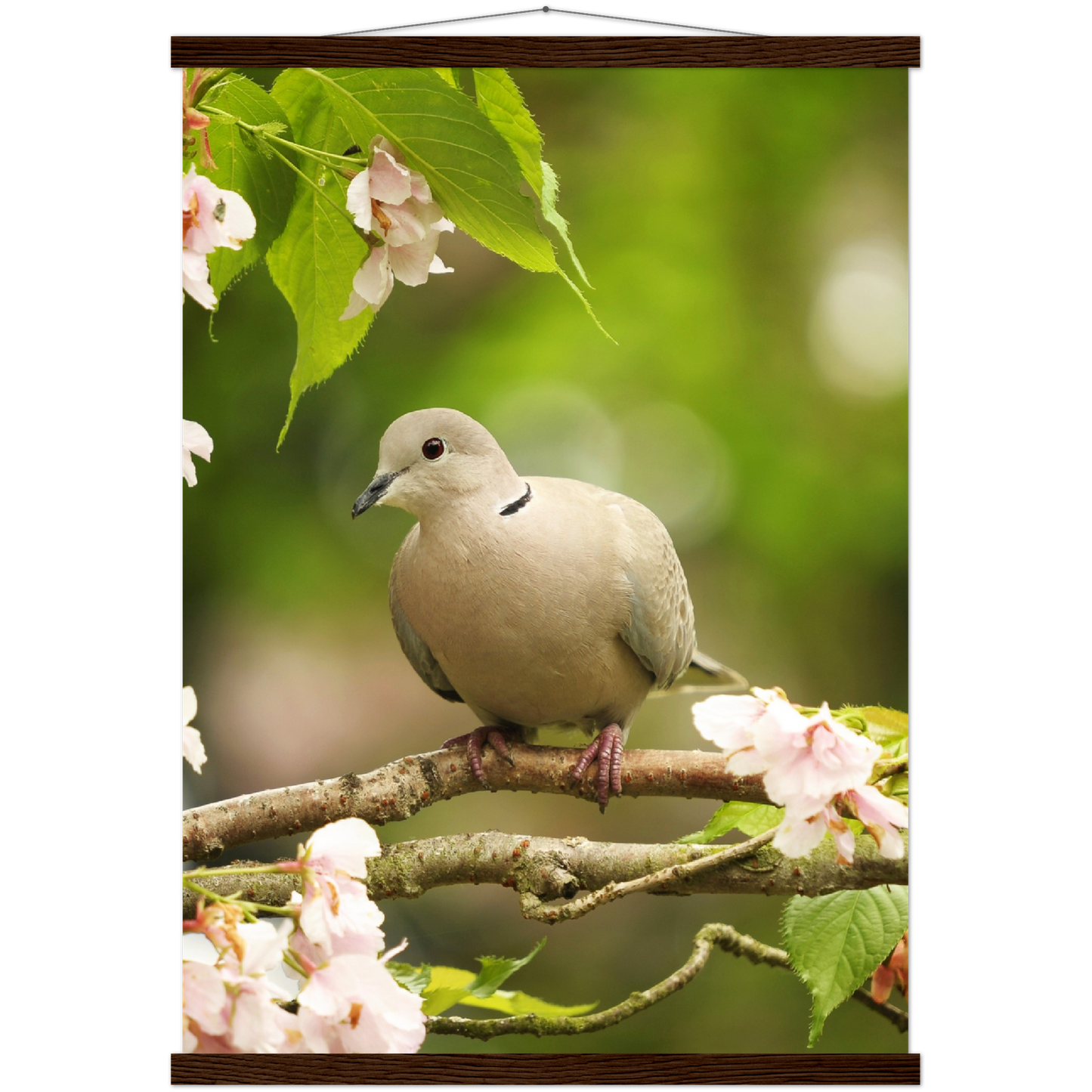 Classic Semi-Glossy Paper Poster with Hanger - Relaxation Series Poster 013