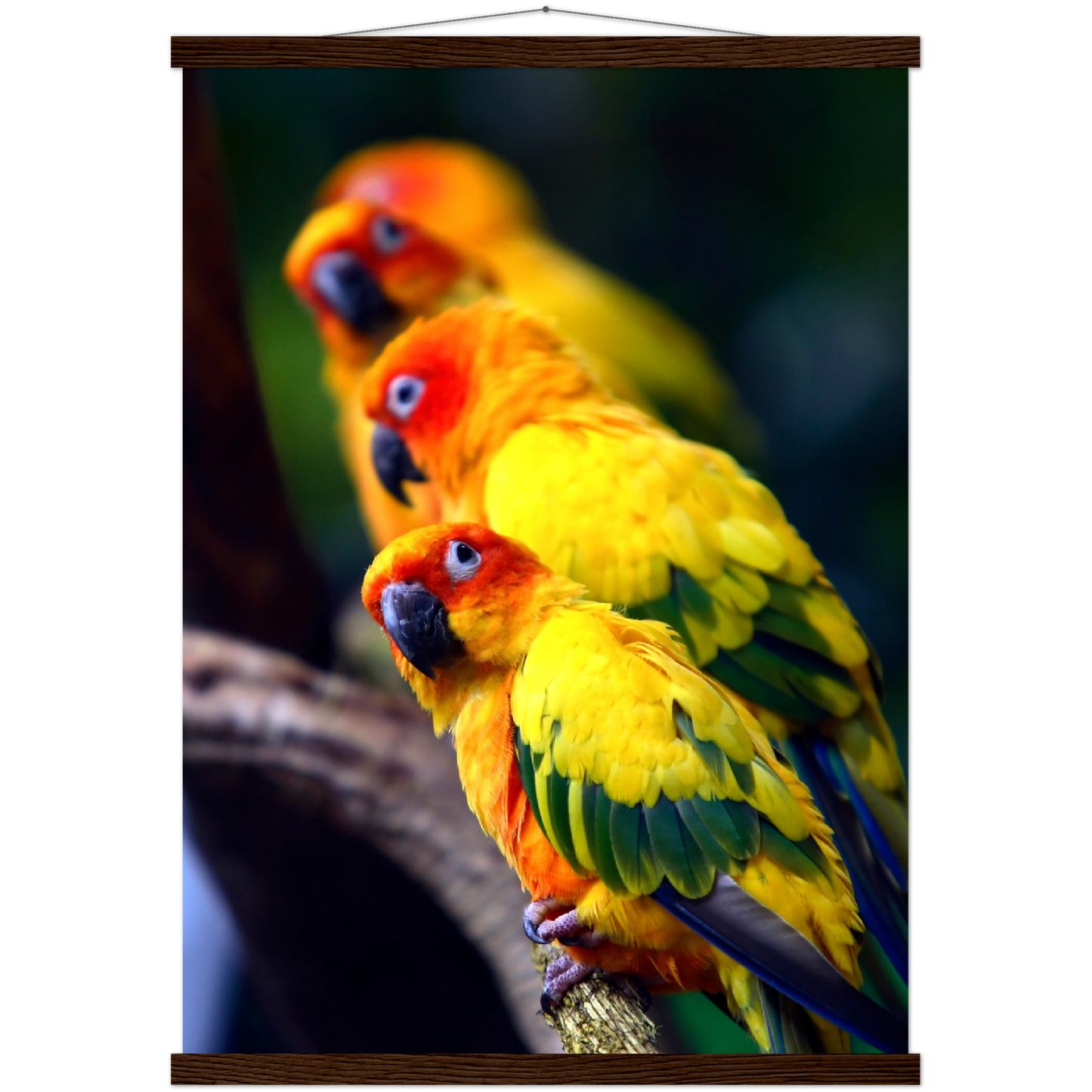 Classic Semi-Glossy Paper Poster with Hanger - Relaxation Series Poster 011
