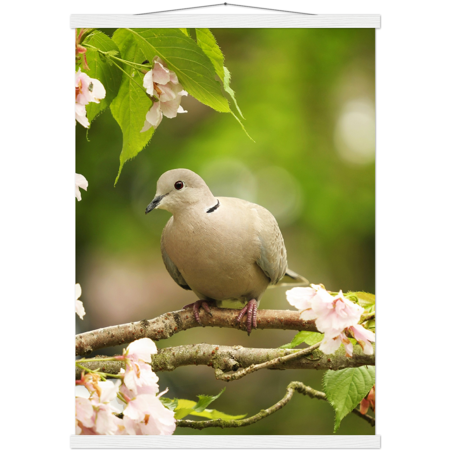 Classic Semi-Glossy Paper Poster with Hanger - Relaxation Series Poster 013
