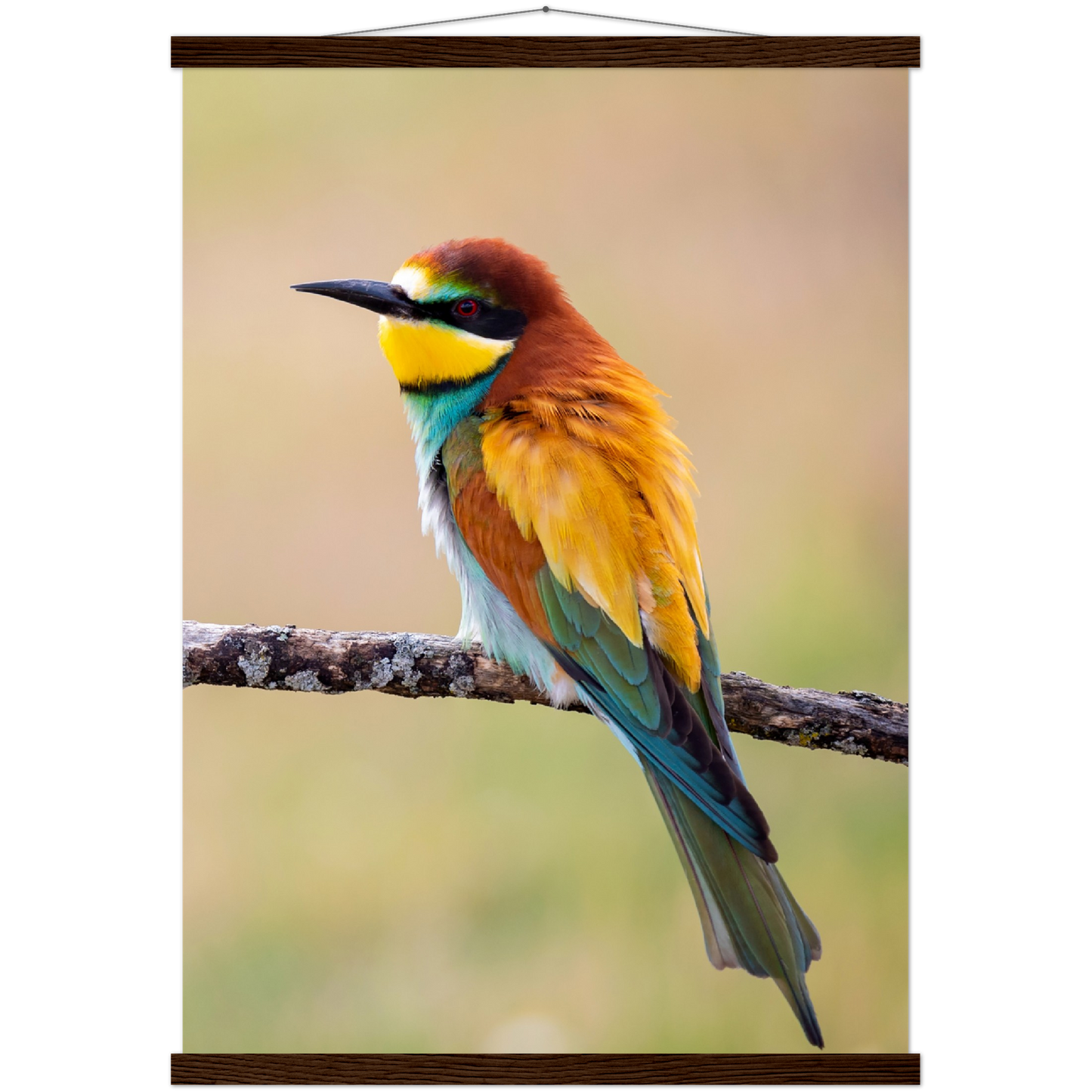 Classic Semi-Glossy Paper Poster with Hanger - Relaxation Series Poster 015
