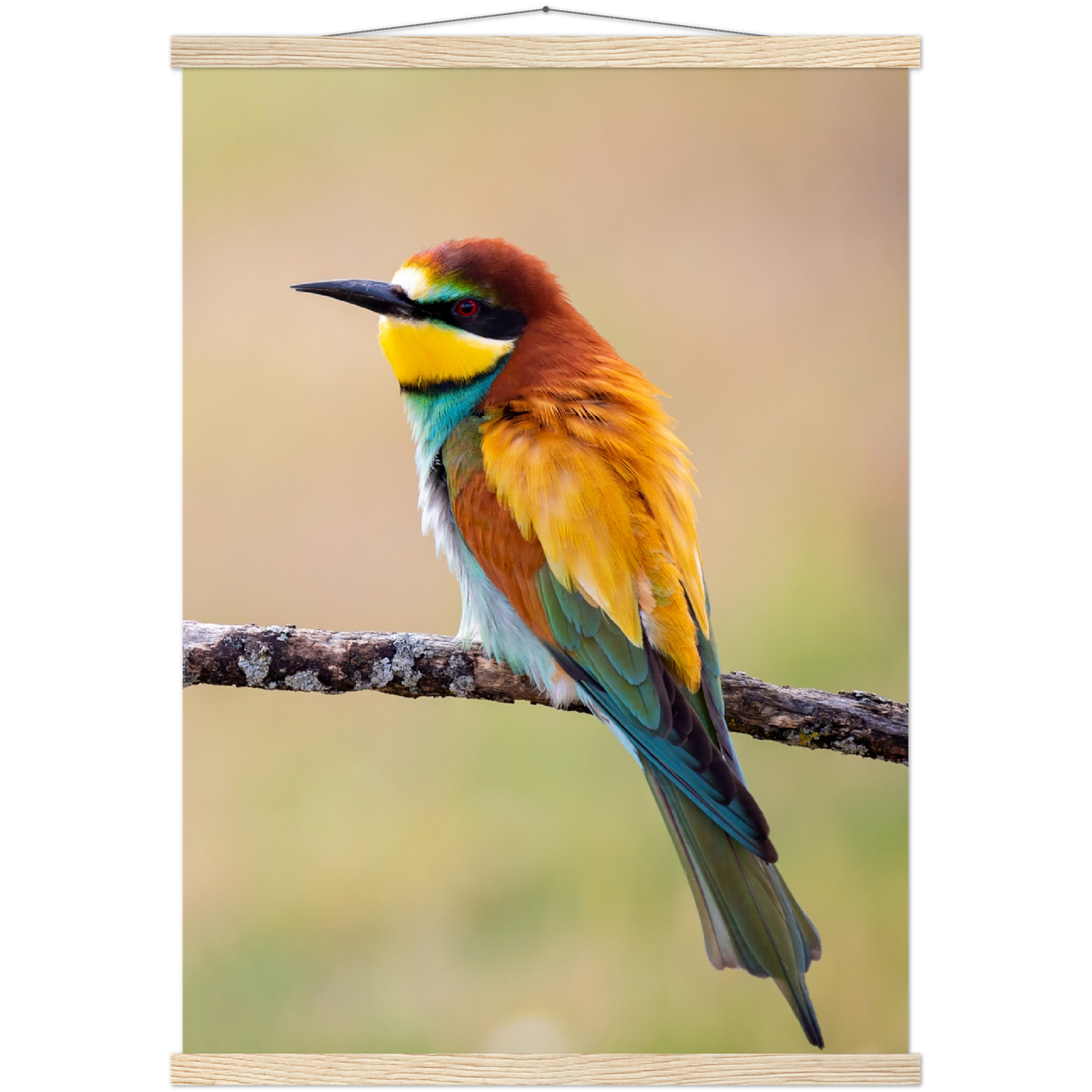 Classic Semi-Glossy Paper Poster with Hanger - Relaxation Series Poster 015