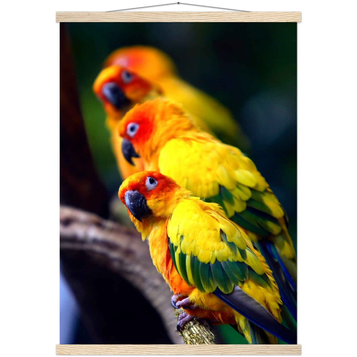 Classic Semi-Glossy Paper Poster with Hanger - Relaxation Series Poster 011