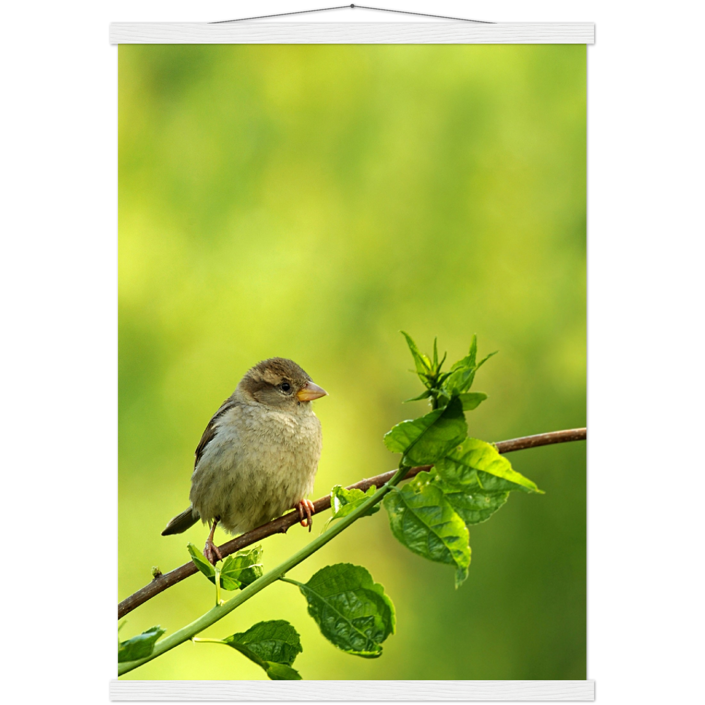 Classic Semi-Glossy Paper Poster with Hanger - Relaxation Series Poster 010