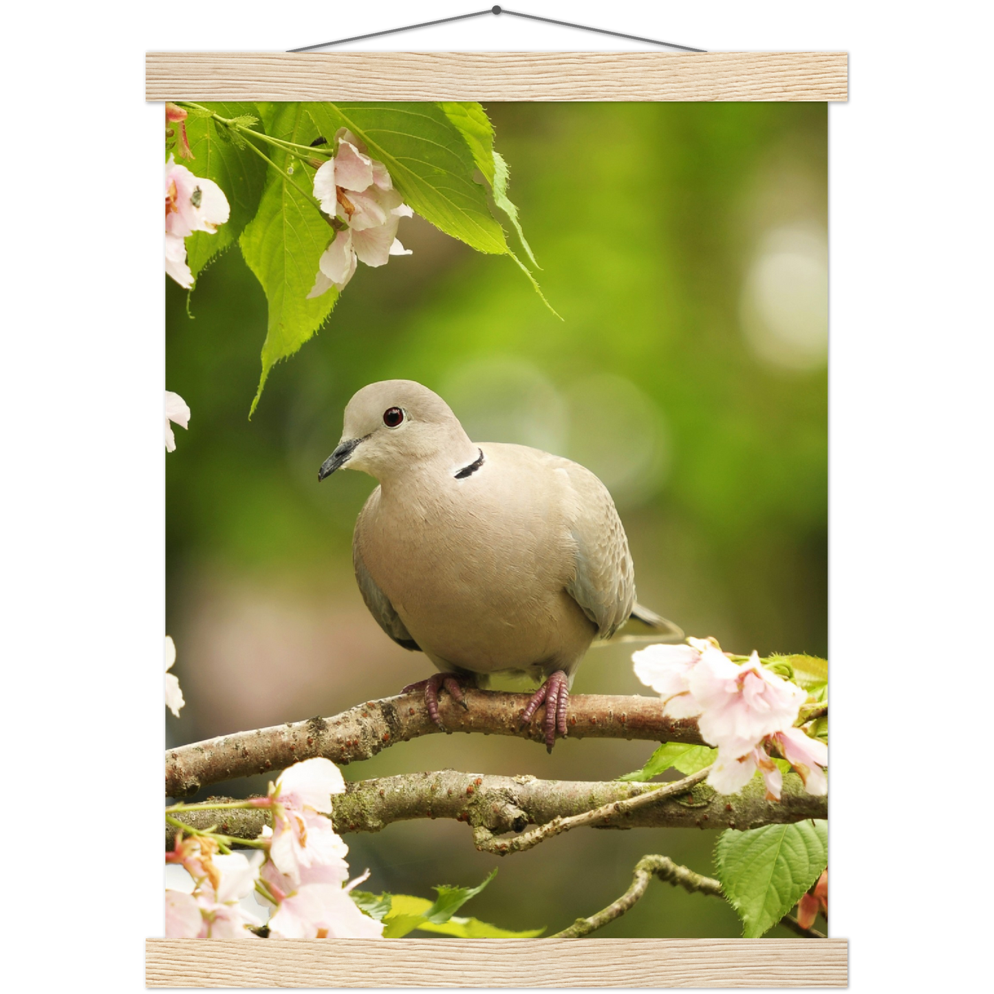 Classic Semi-Glossy Paper Poster with Hanger - Relaxation Series Poster 013
