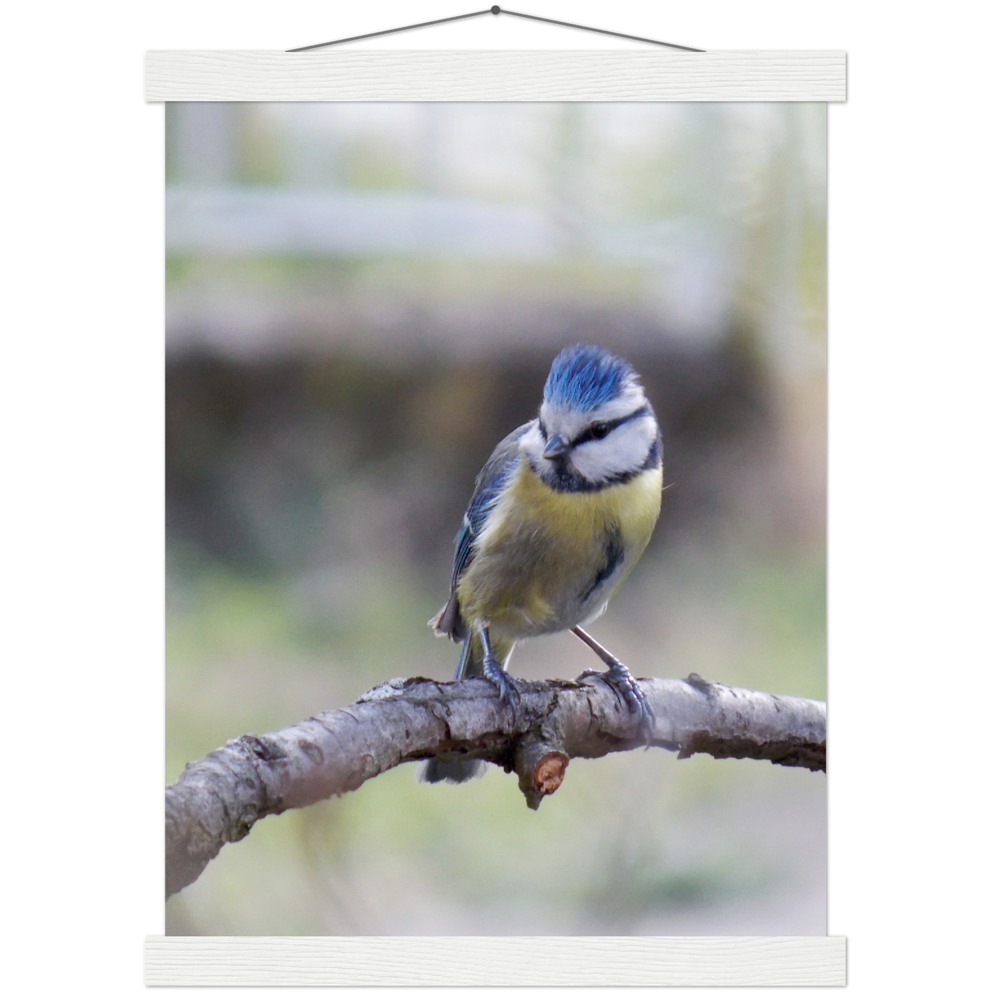 Classic Semi-Glossy Paper Poster with Hanger - Relaxation Series Poster 018