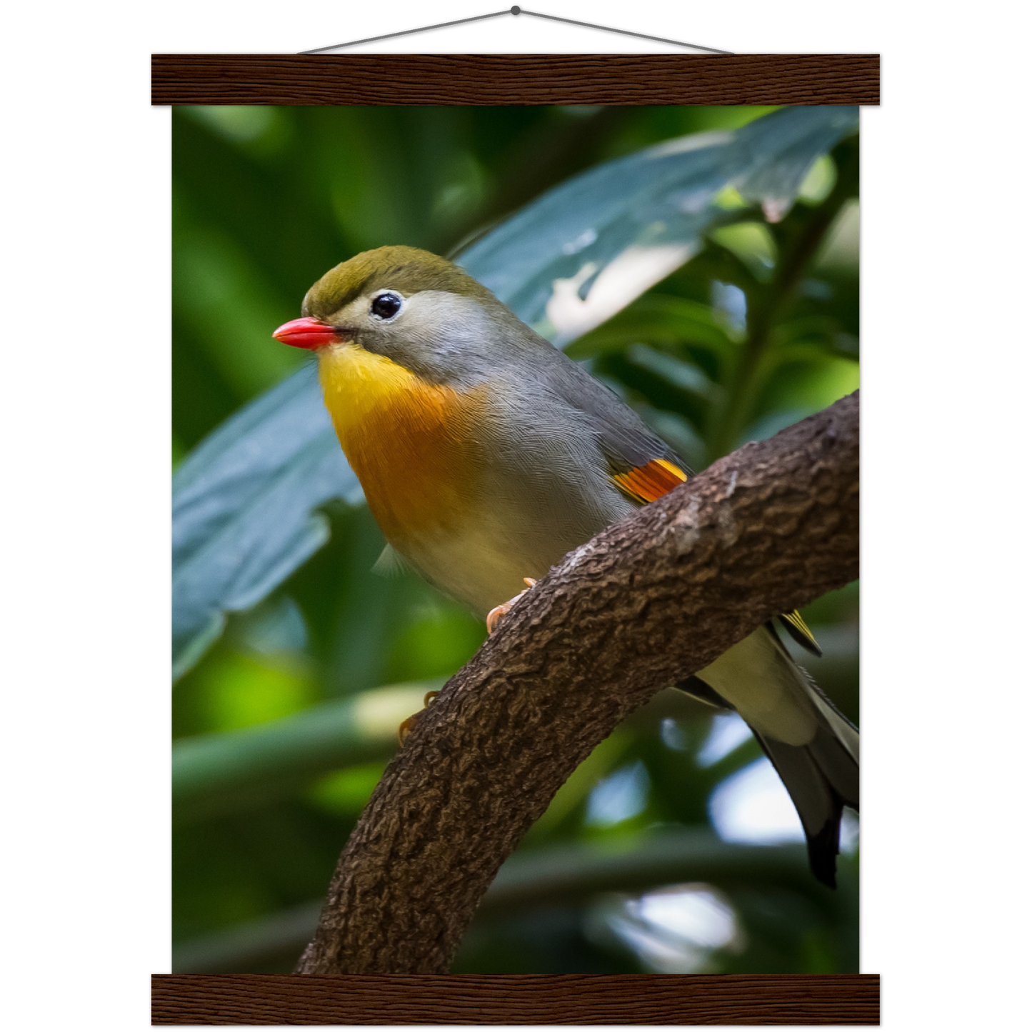 Classic Semi-Glossy Paper Poster with Hanger - Relaxation Series Poster 014