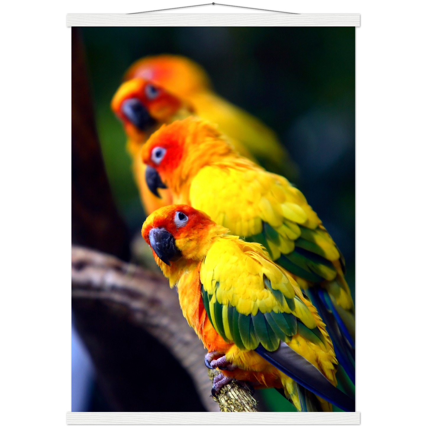 Classic Semi-Glossy Paper Poster with Hanger - Relaxation Series Poster 011