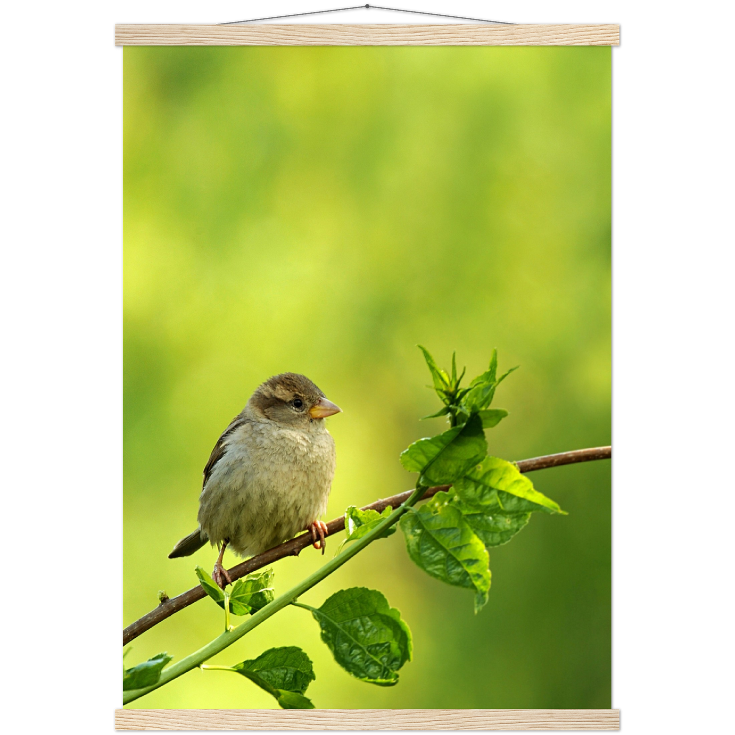 Classic Semi-Glossy Paper Poster with Hanger - Relaxation Series Poster 010