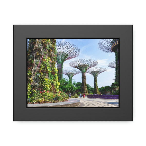 Framed Paper Poster - SG Series (Gardens by the Bay)