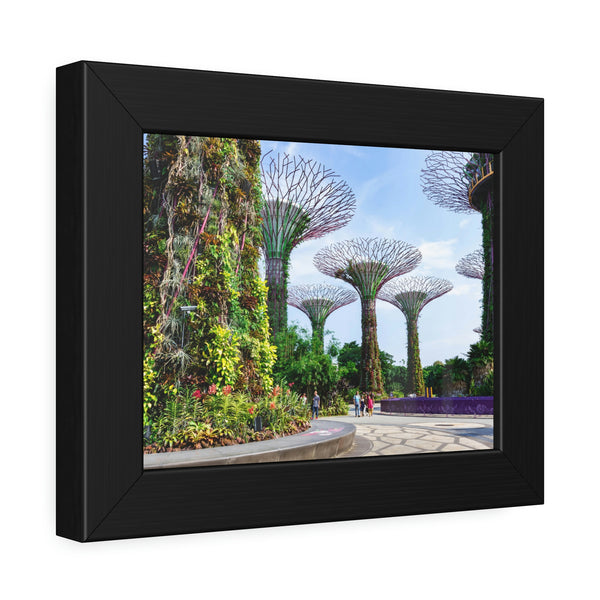 Framed Paper Poster - SG Series (Gardens by the Bay)