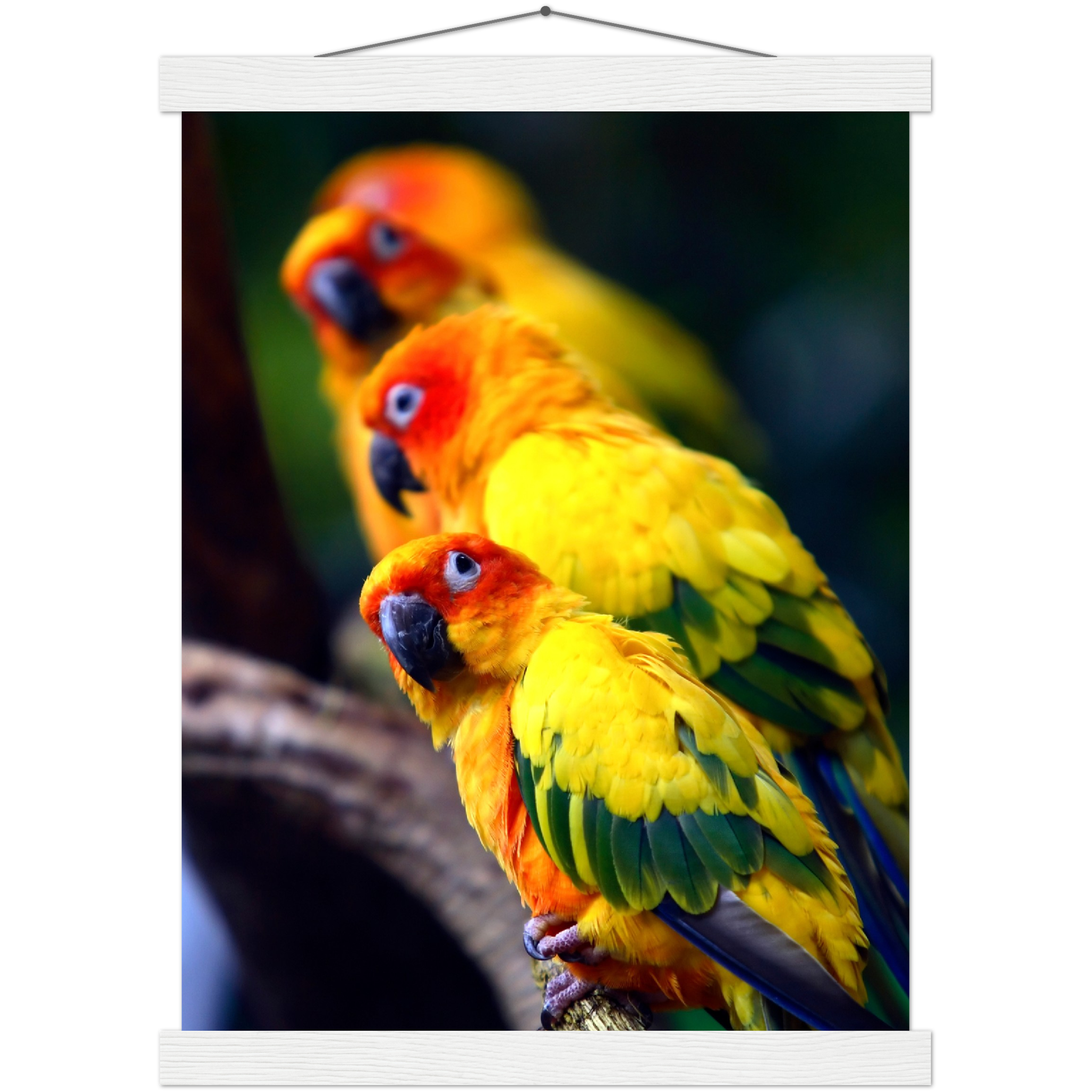 Classic Semi-Glossy Paper Poster with Hanger - Relaxation Series Poster 011