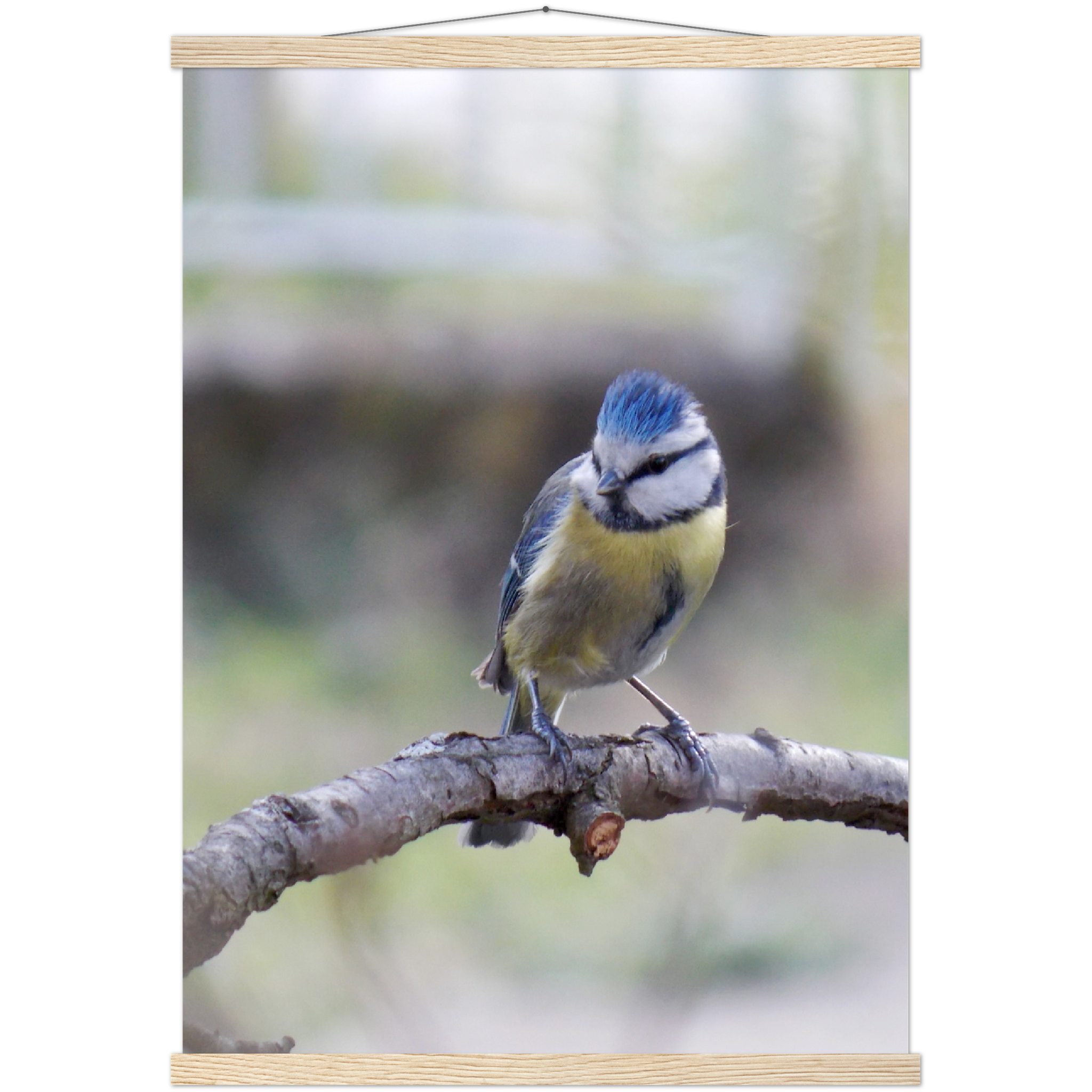 Classic Semi-Glossy Paper Poster with Hanger - Relaxation Series Poster 018