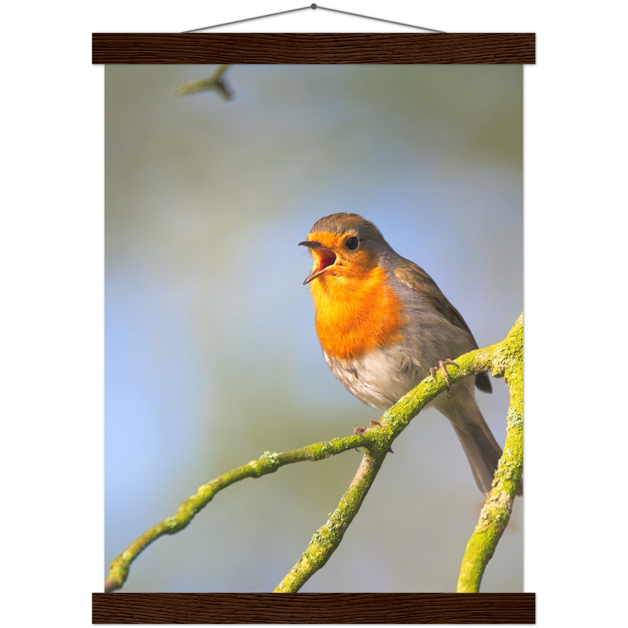 Classic Semi-Glossy Paper Poster with Hanger - Relaxation Series Poster 017