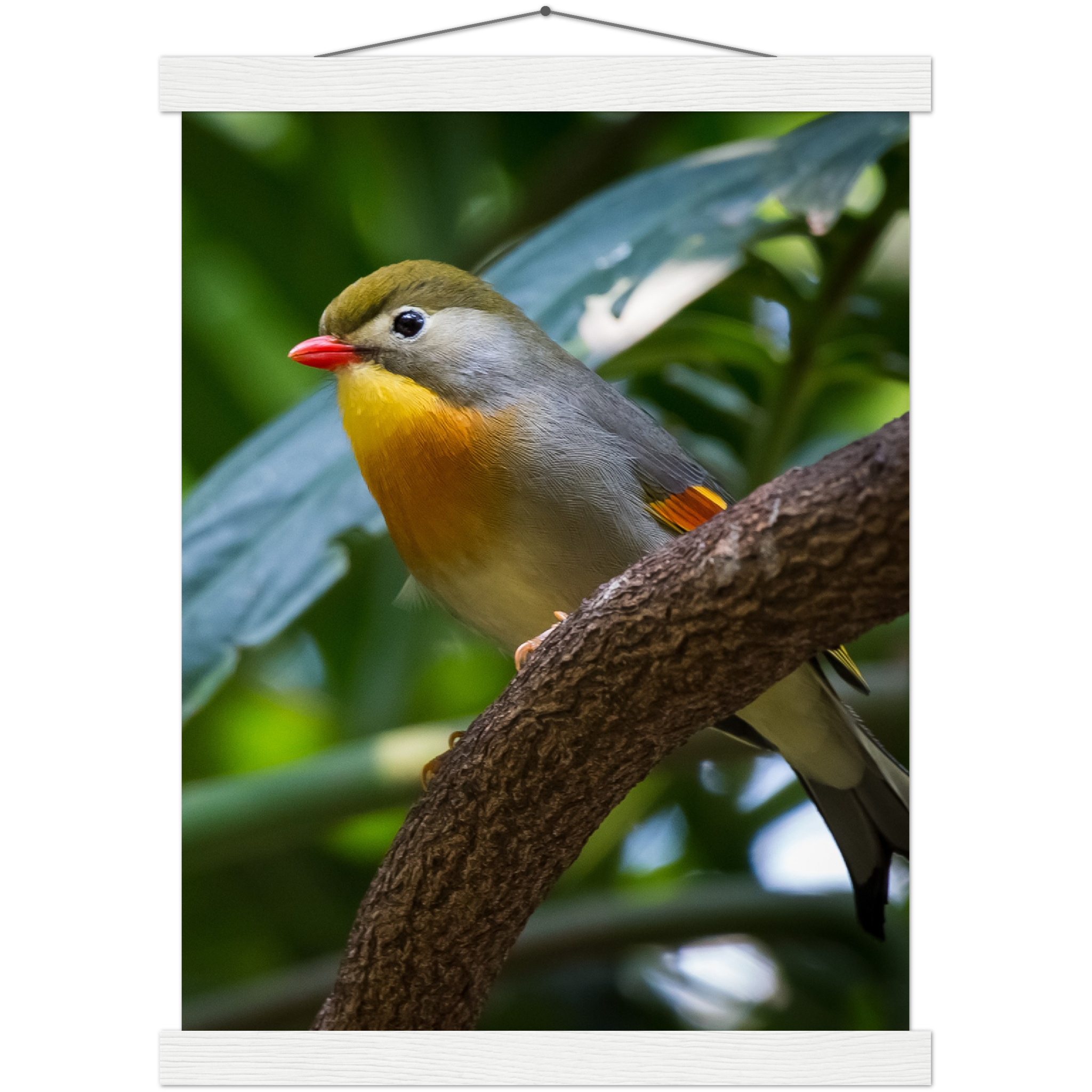 Classic Semi-Glossy Paper Poster with Hanger - Relaxation Series Poster 014