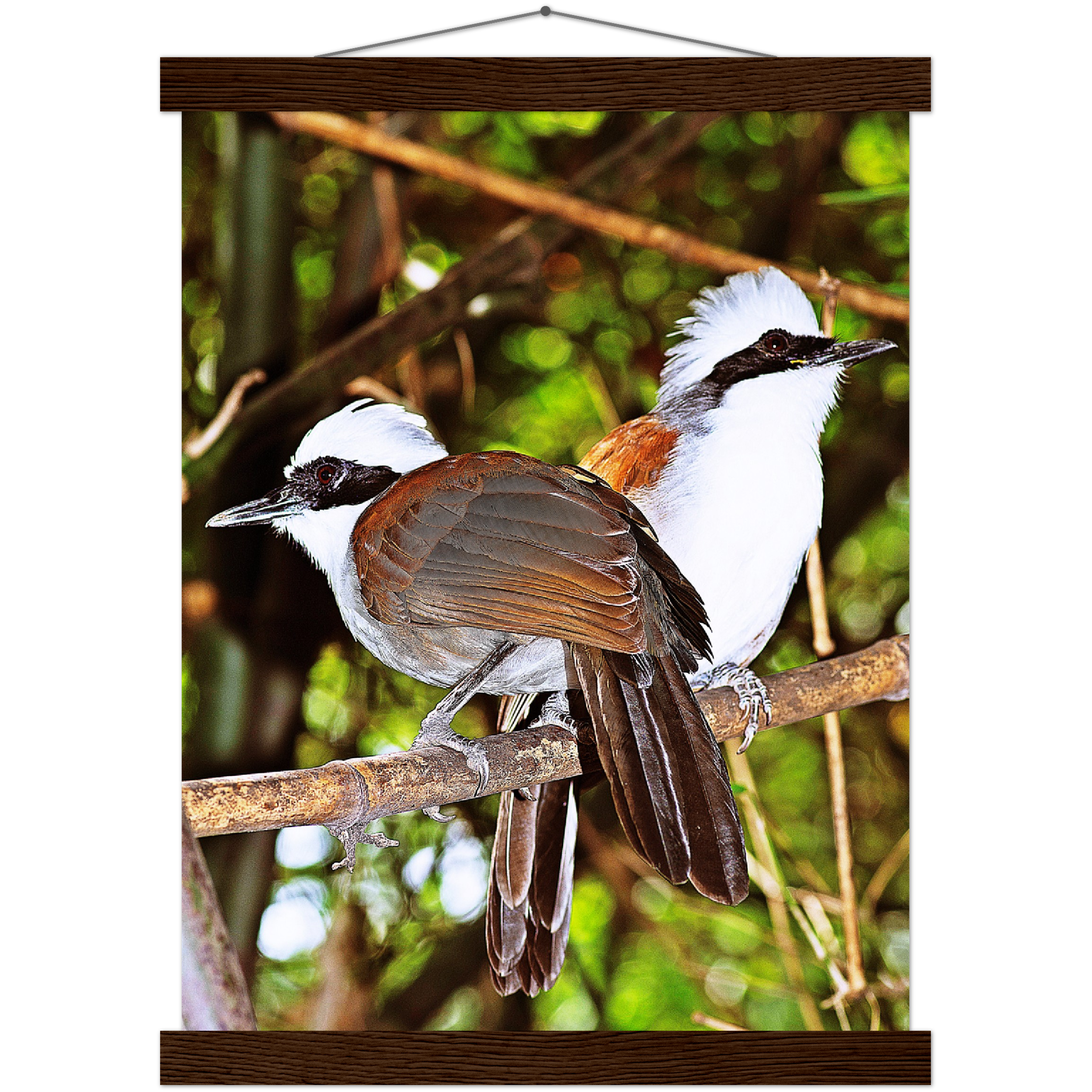 Classic Semi-Glossy Paper Poster with Hanger - Relaxation Series Poster 016