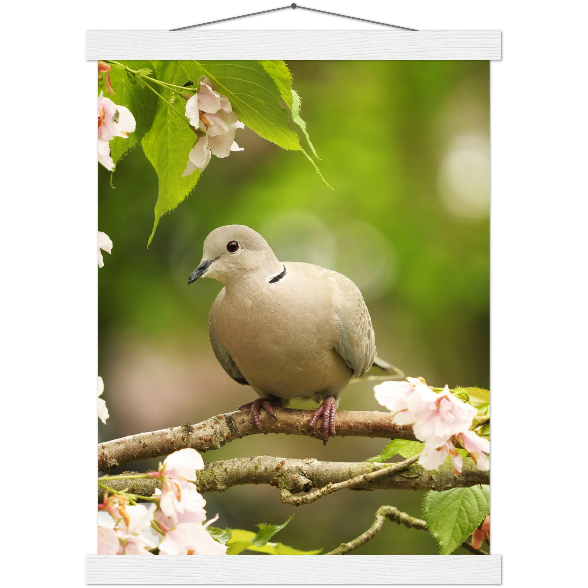 Classic Semi-Glossy Paper Poster with Hanger - Relaxation Series Poster 013