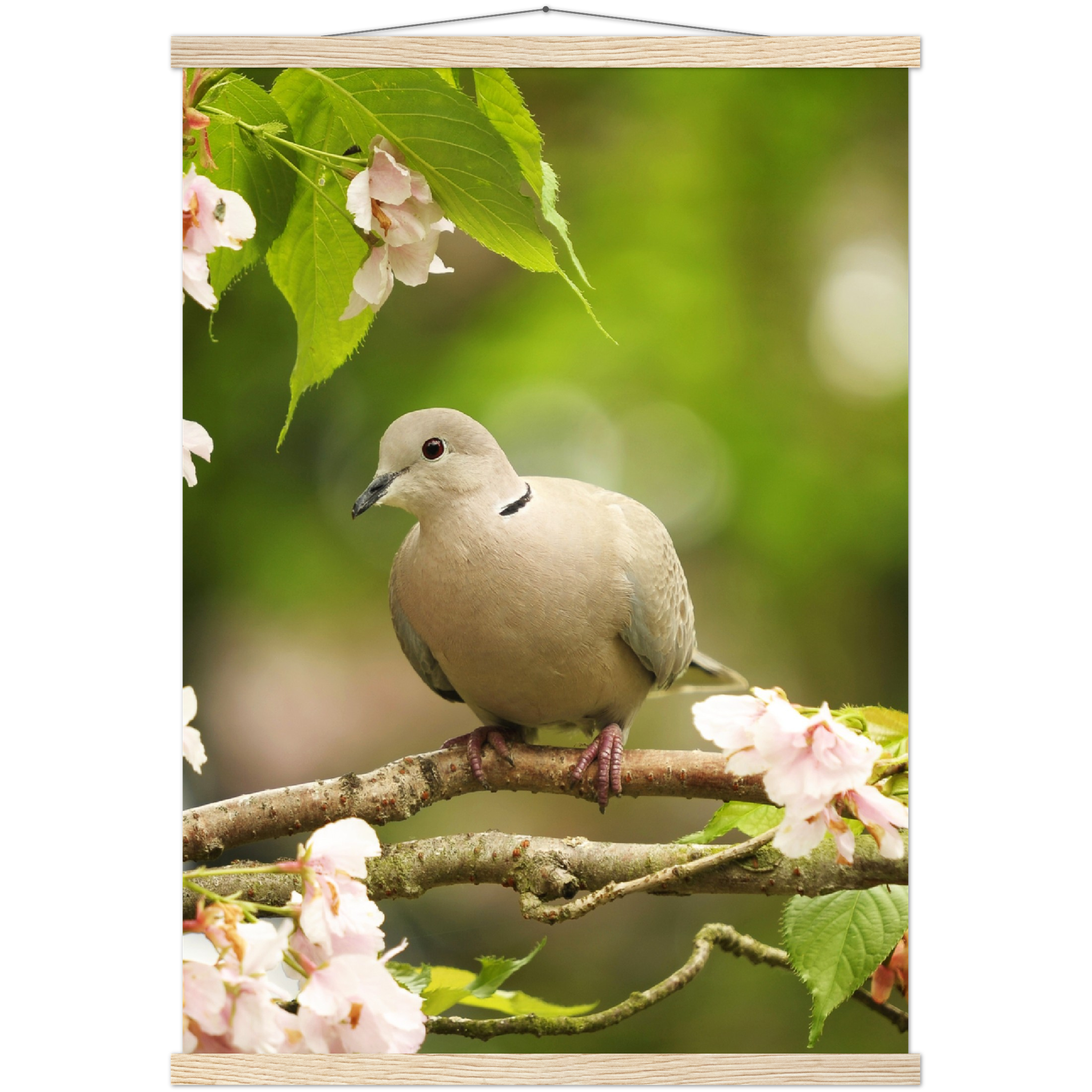 Classic Semi-Glossy Paper Poster with Hanger - Relaxation Series Poster 013