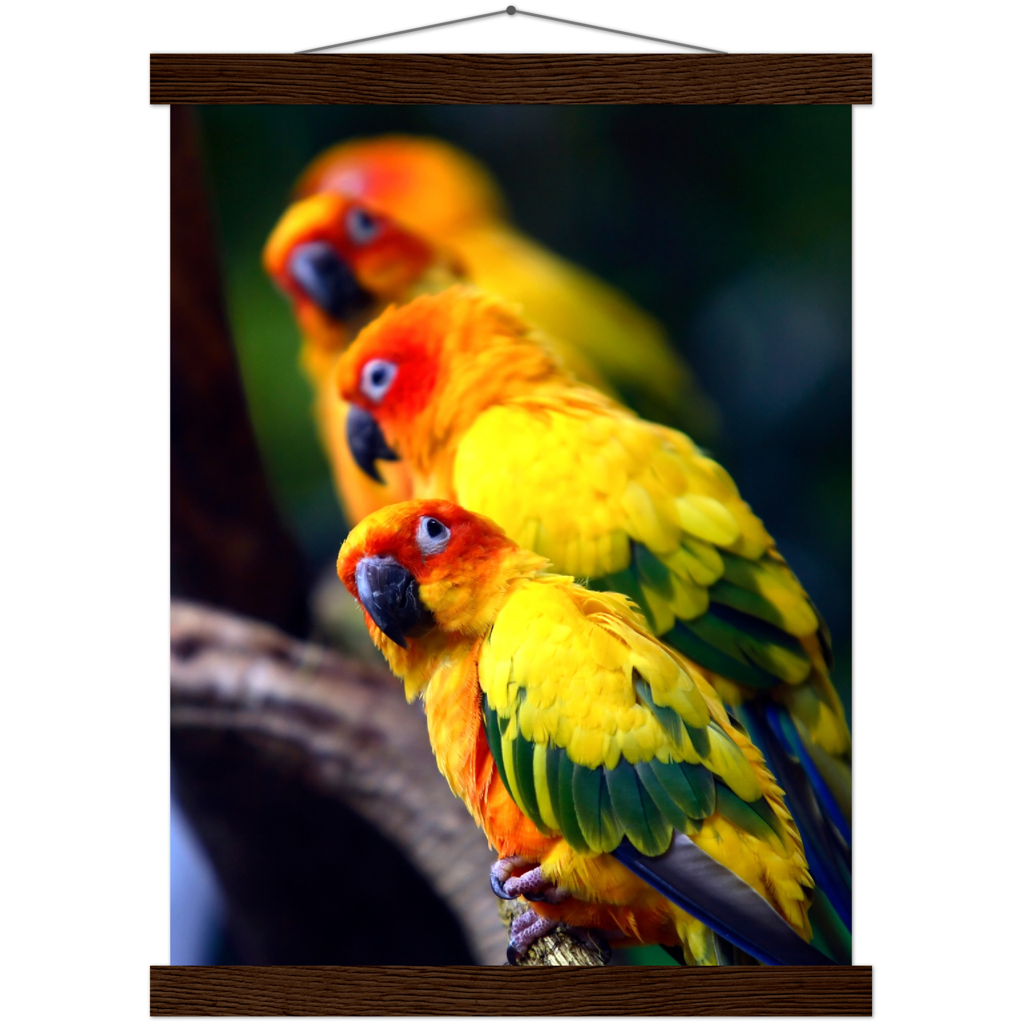 Classic Semi-Glossy Paper Poster with Hanger - Relaxation Series Poster 011