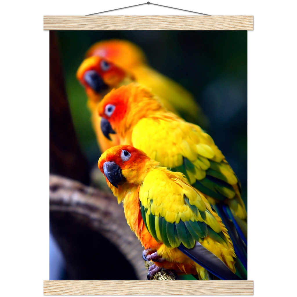 Classic Semi-Glossy Paper Poster with Hanger - Relaxation Series Poster 011