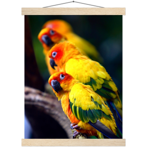 Classic Semi-Glossy Paper Poster with Hanger - Relaxation Series Poster 011