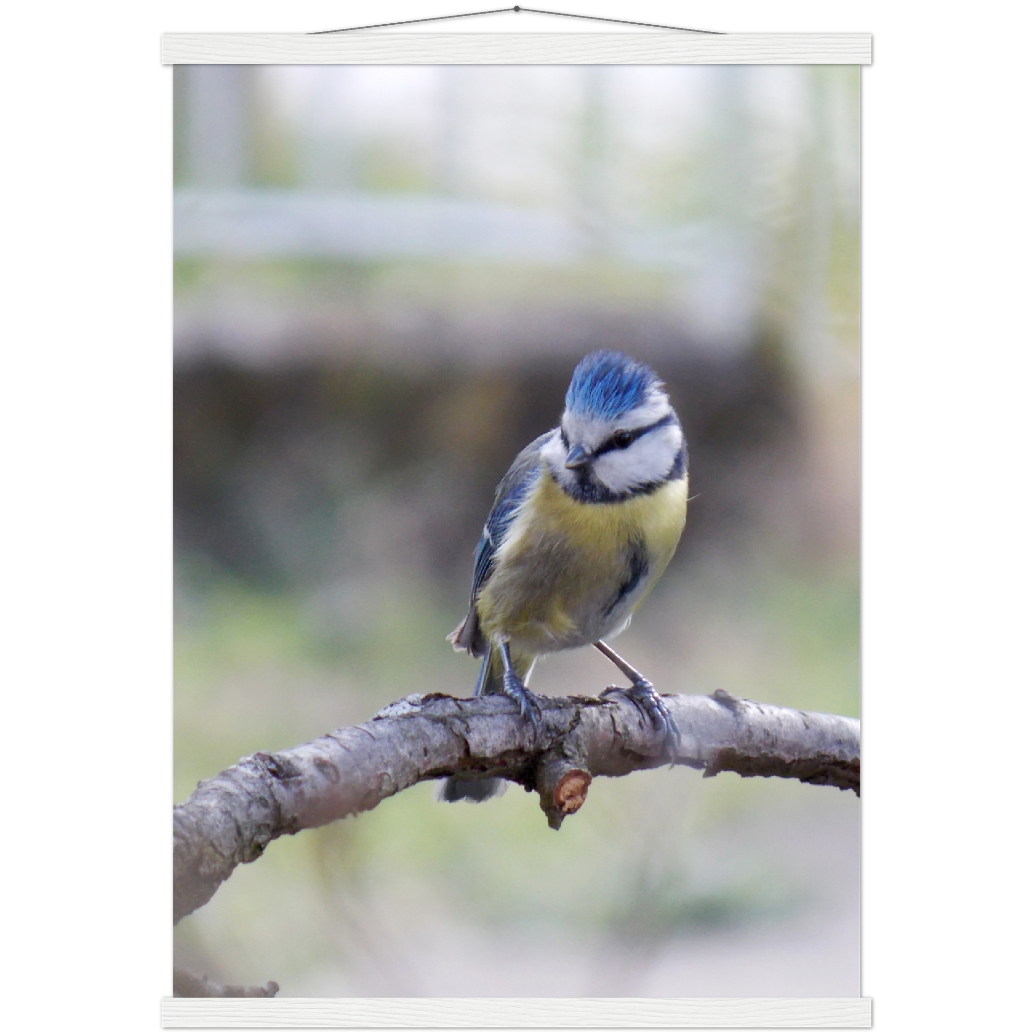 Classic Semi-Glossy Paper Poster with Hanger - Relaxation Series Poster 018