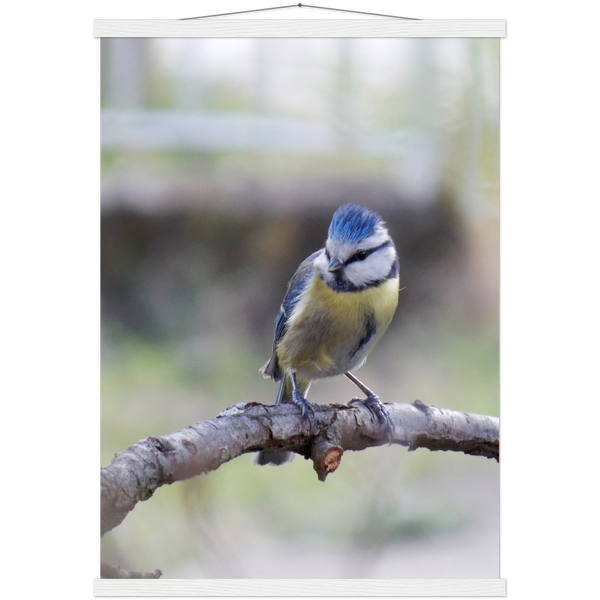 Classic Semi-Glossy Paper Poster with Hanger - Relaxation Series Poster 018