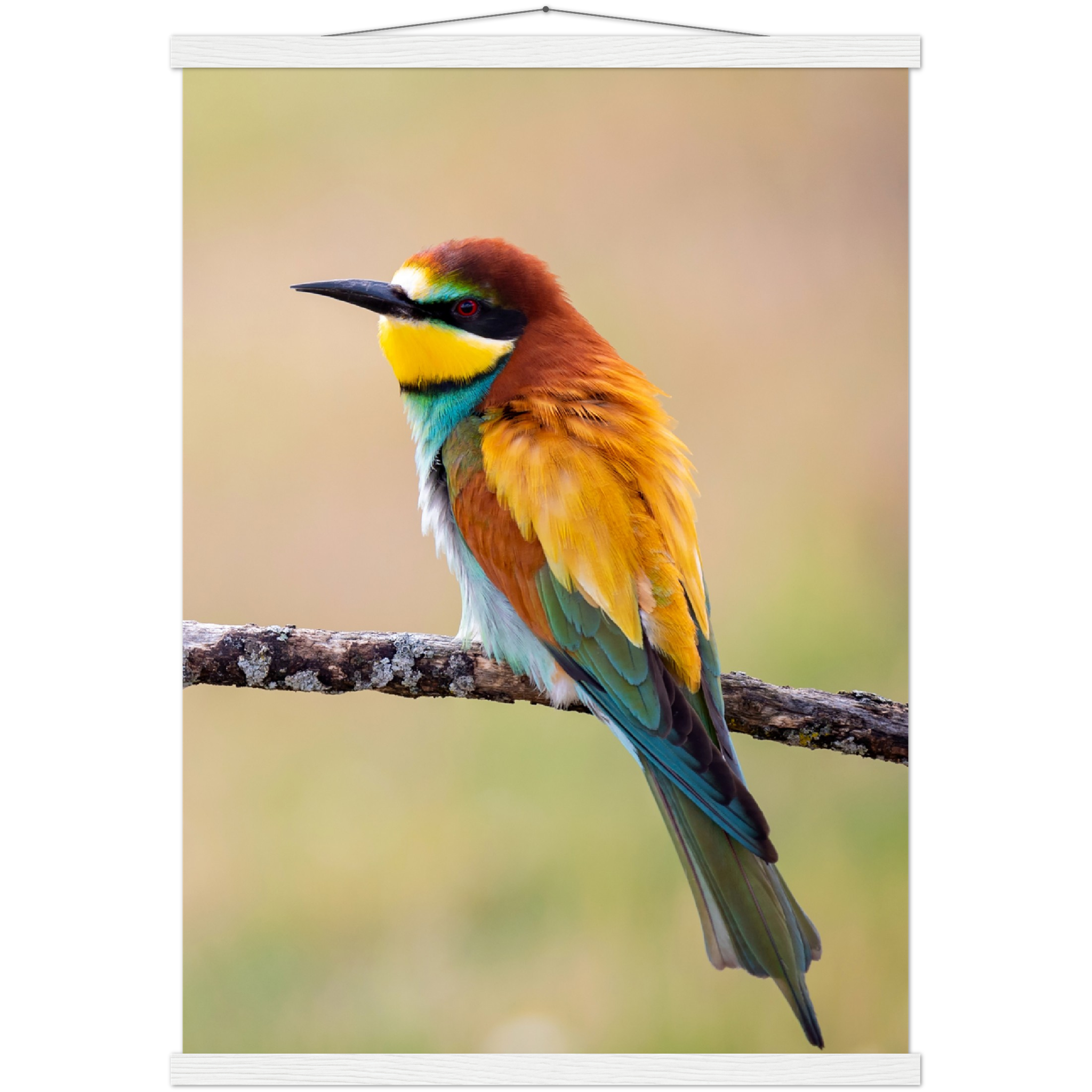 Classic Semi-Glossy Paper Poster with Hanger - Relaxation Series Poster 015