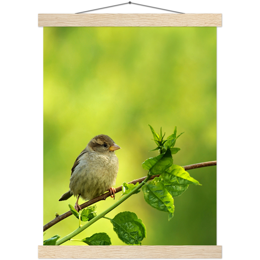 Classic Semi-Glossy Paper Poster with Hanger - Relaxation Series Poster 010