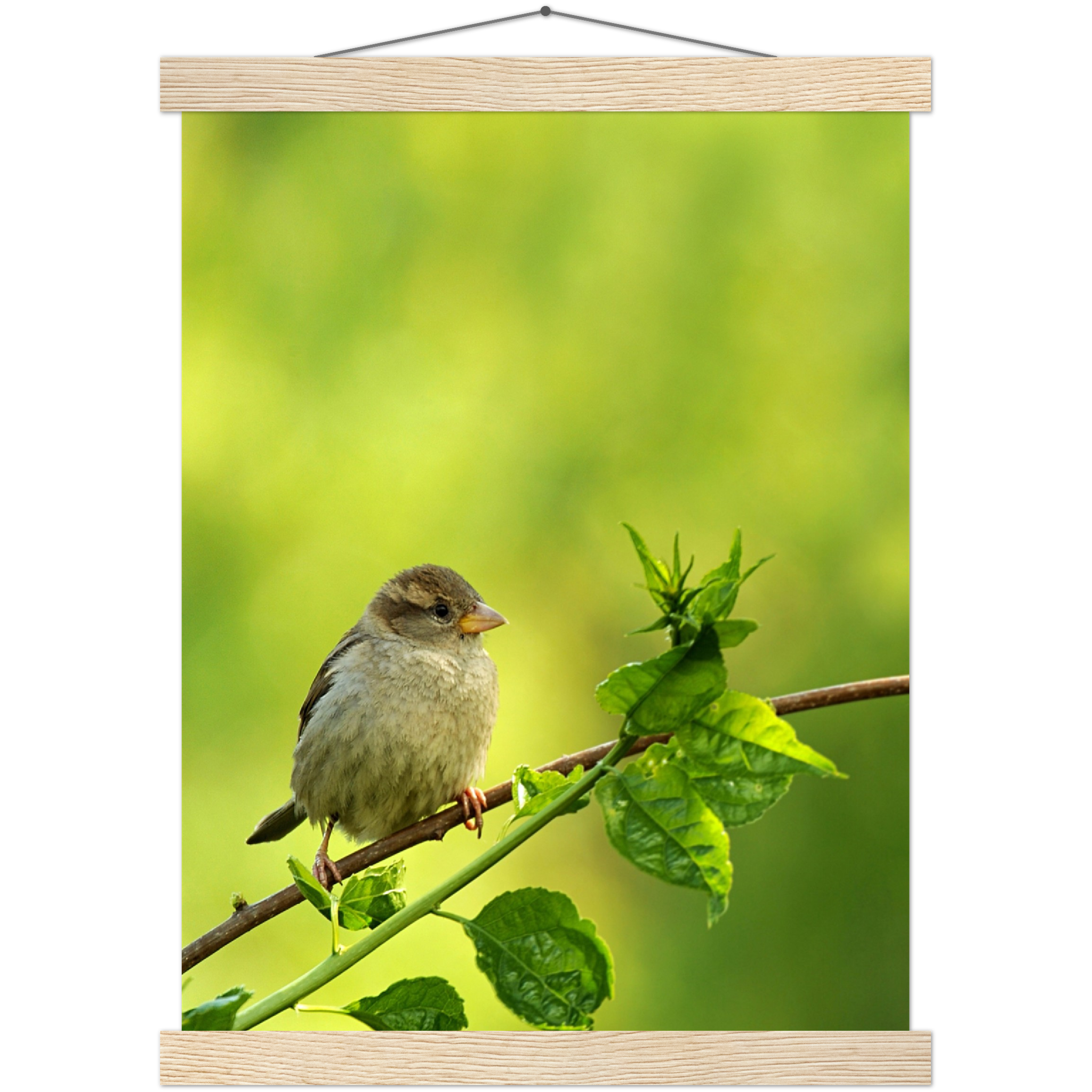 Classic Semi-Glossy Paper Poster with Hanger - Relaxation Series Poster 010