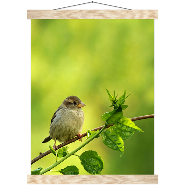 Classic Semi-Glossy Paper Poster with Hanger - Relaxation Series Poster 010