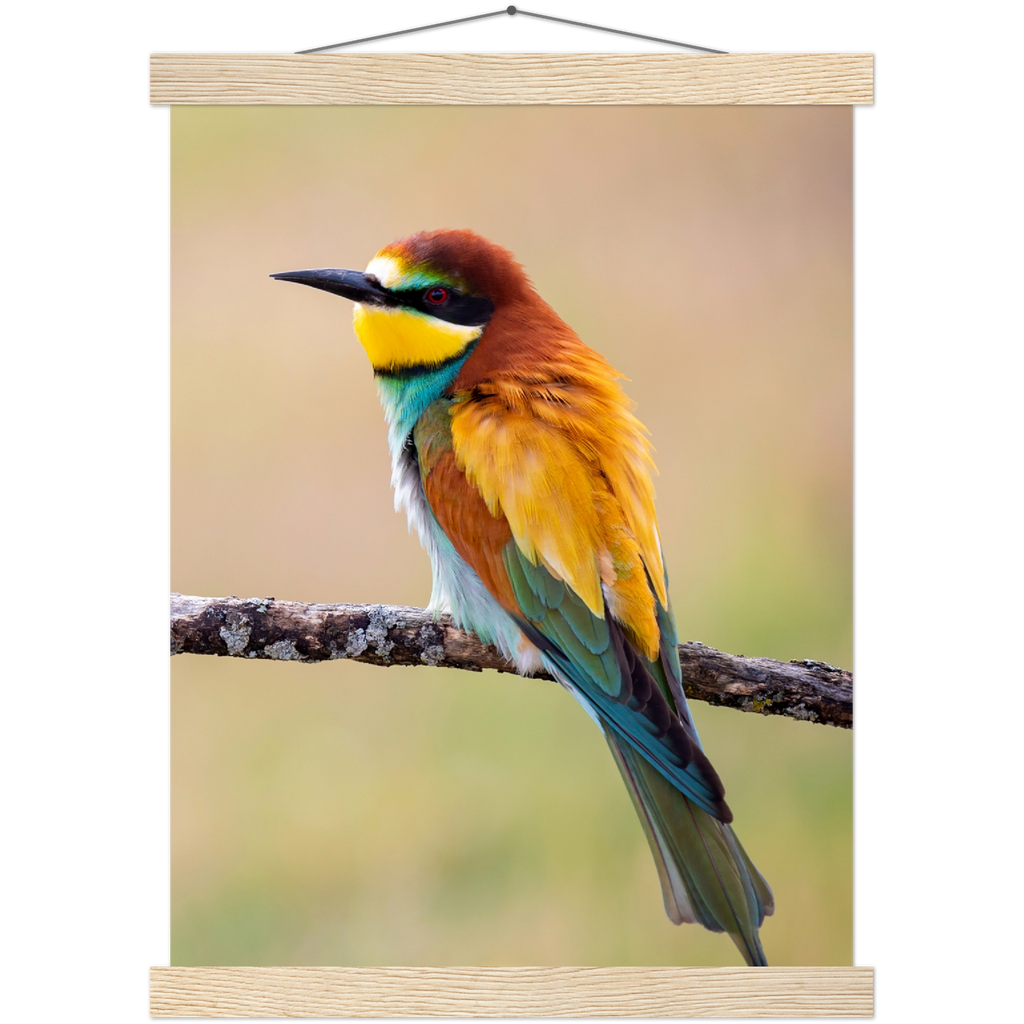 Classic Semi-Glossy Paper Poster with Hanger - Relaxation Series Poster 015