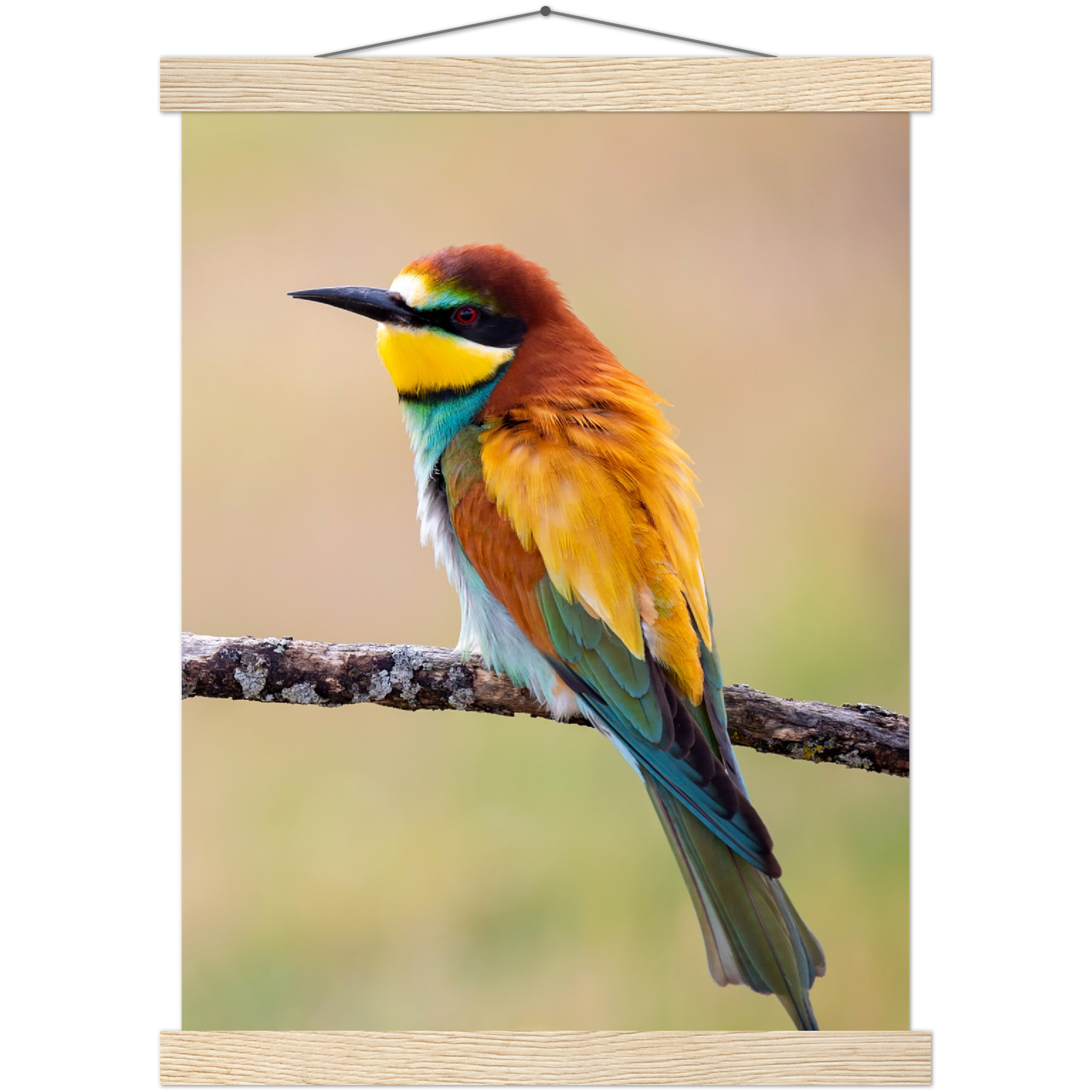 Classic Semi-Glossy Paper Poster with Hanger - Relaxation Series Poster 015