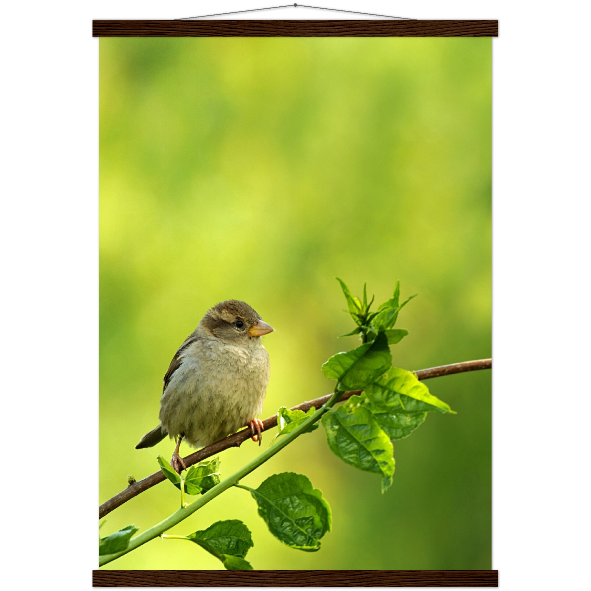 Classic Semi-Glossy Paper Poster with Hanger - Relaxation Series Poster 010