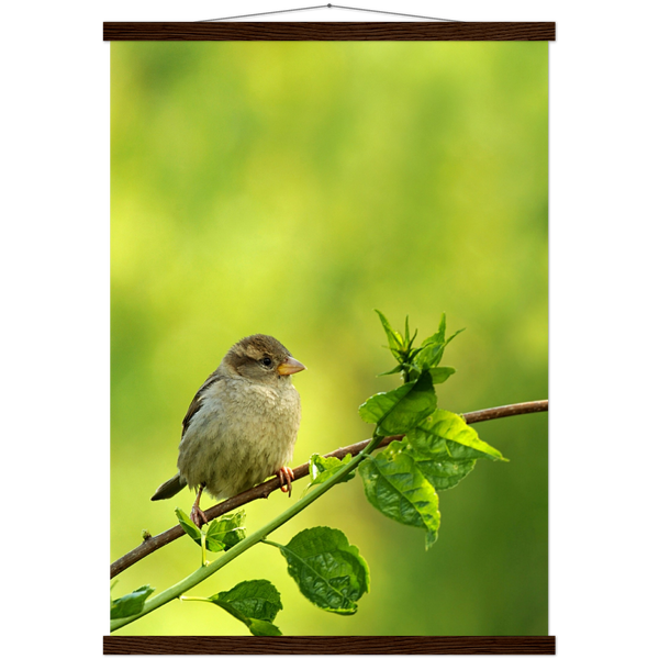 Classic Semi-Glossy Paper Poster with Hanger - Relaxation Series Poster 010