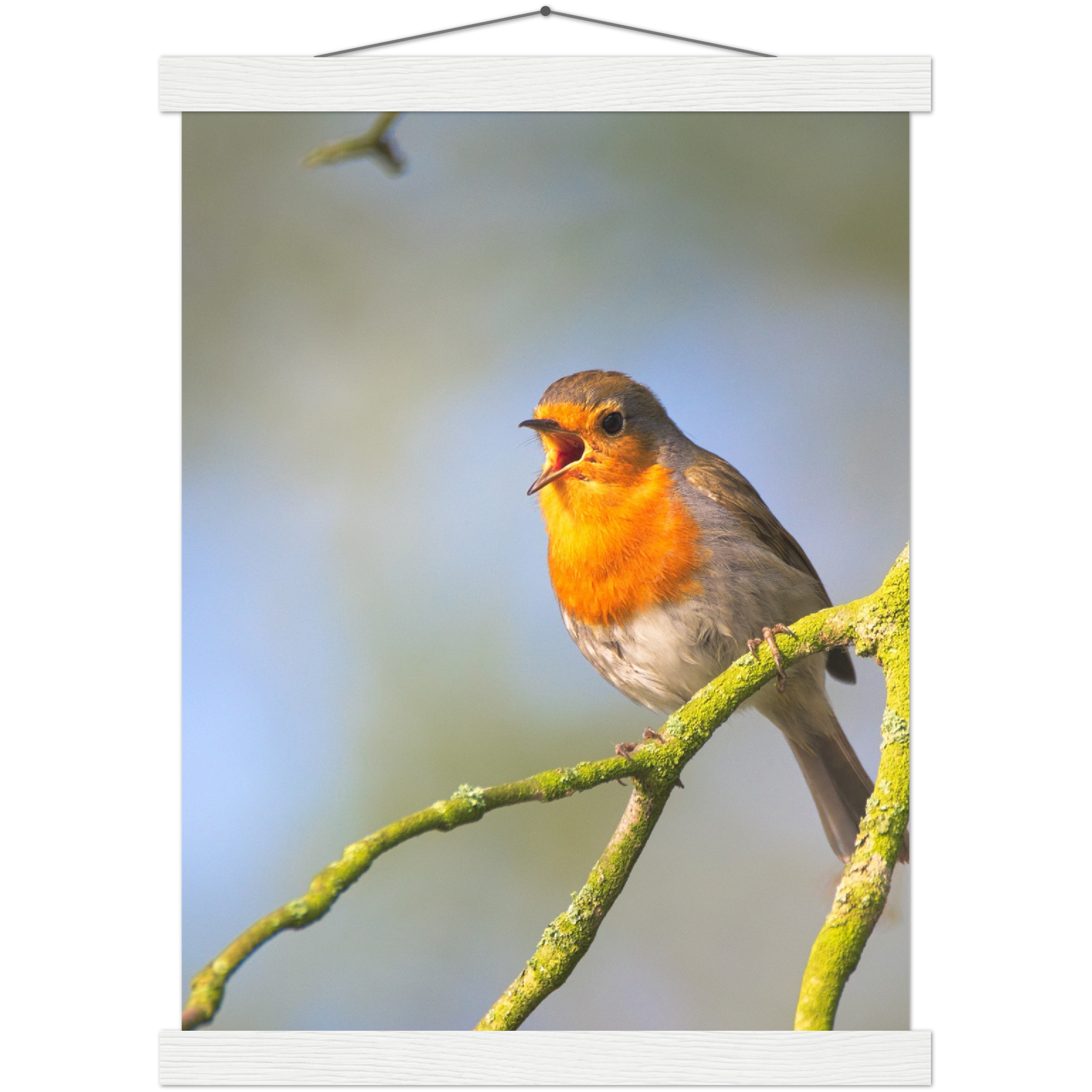 Classic Semi-Glossy Paper Poster with Hanger - Relaxation Series Poster 017