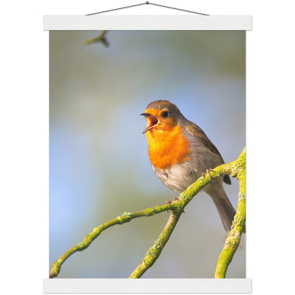 Classic Semi-Glossy Paper Poster with Hanger - Relaxation Series Poster 017