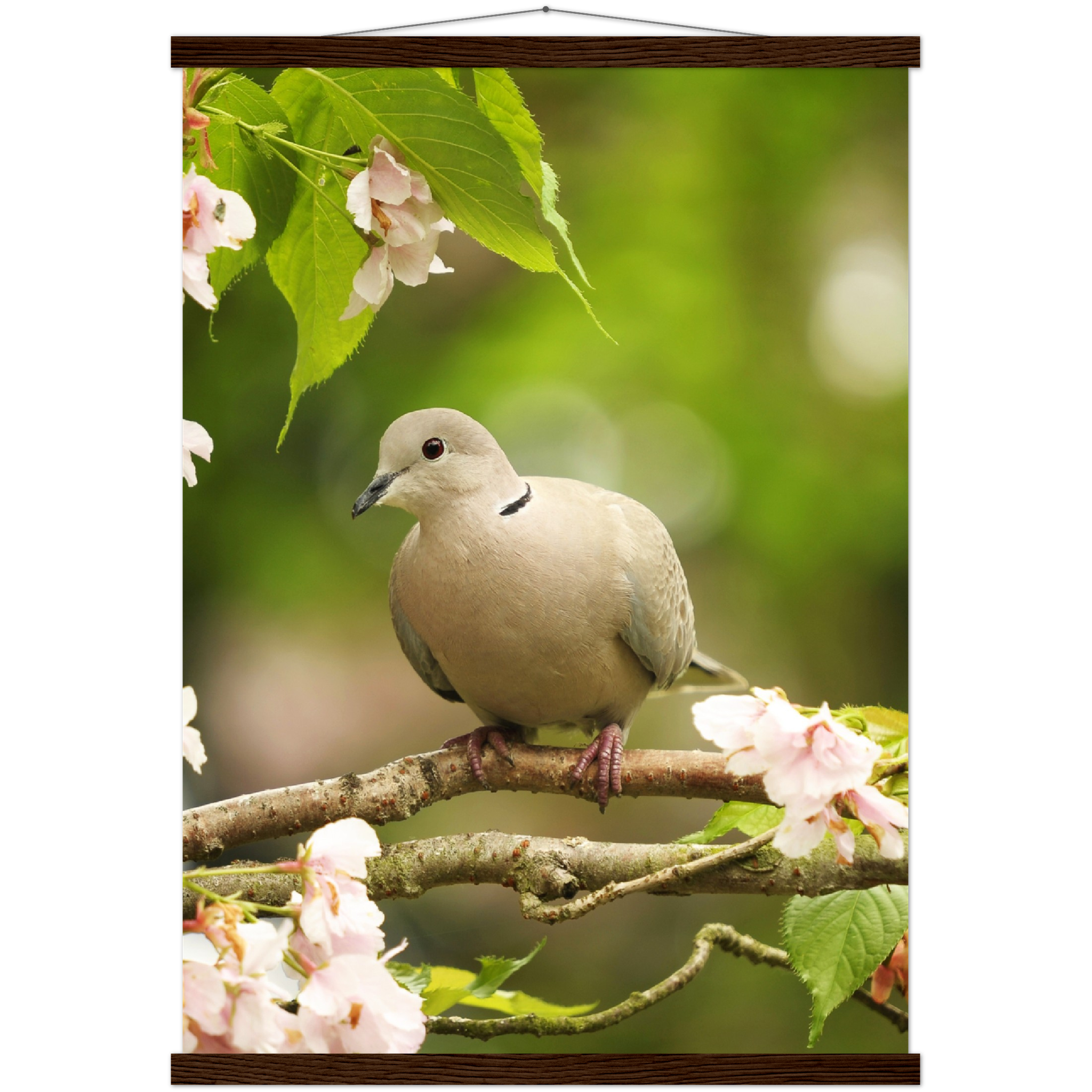 Classic Semi-Glossy Paper Poster with Hanger - Relaxation Series Poster 013