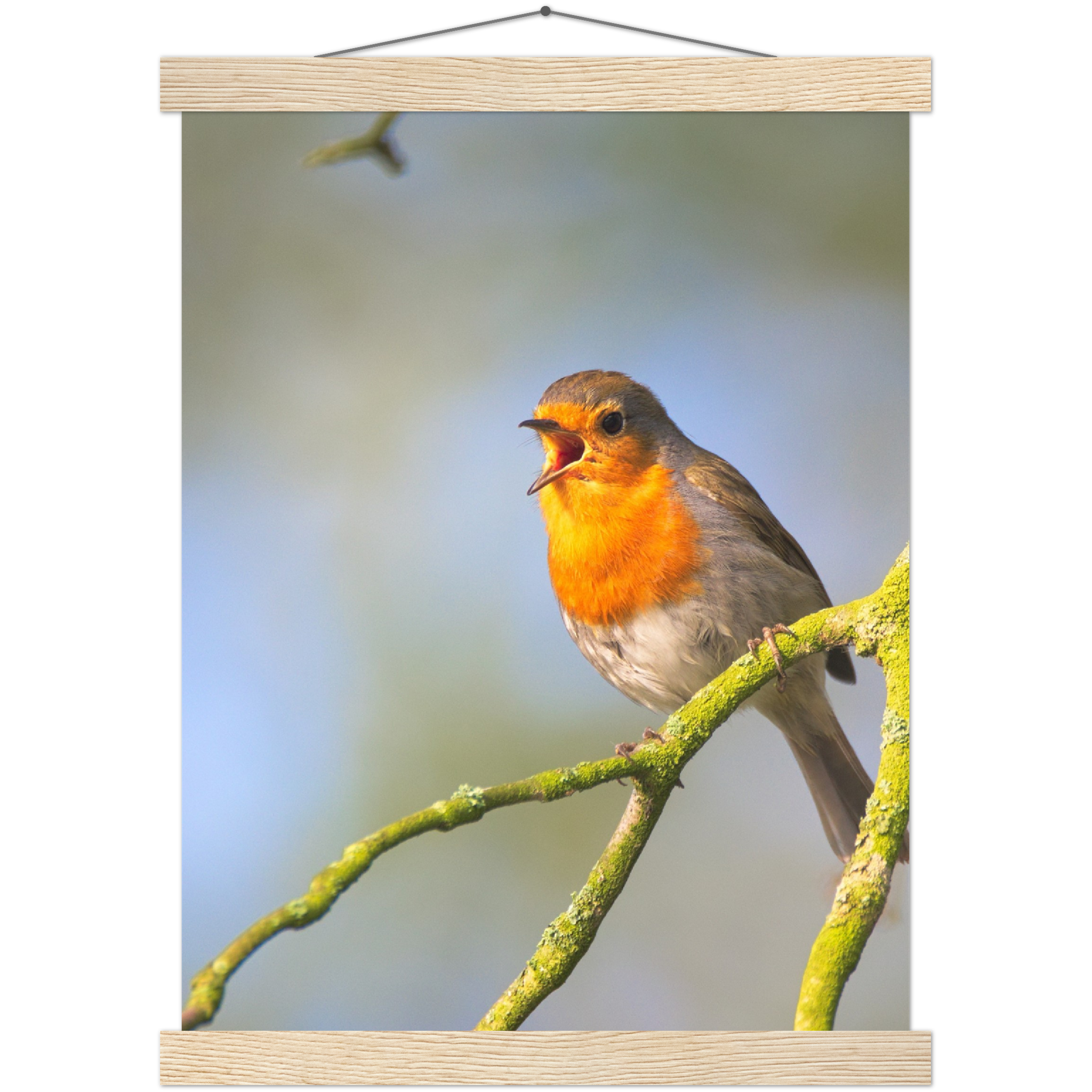 Classic Semi-Glossy Paper Poster with Hanger - Relaxation Series Poster 017